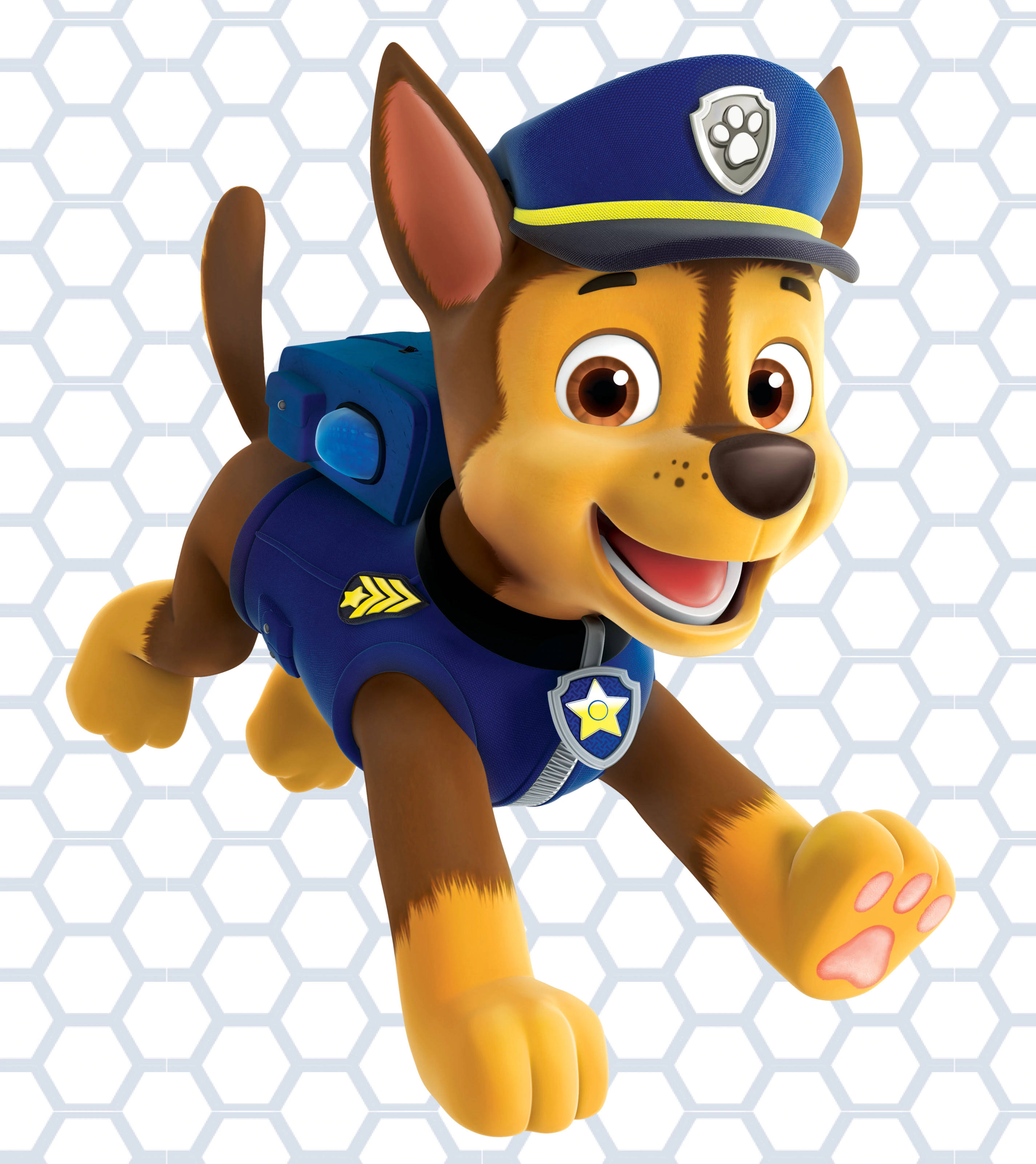 Chase Paw Patrol Hình nền