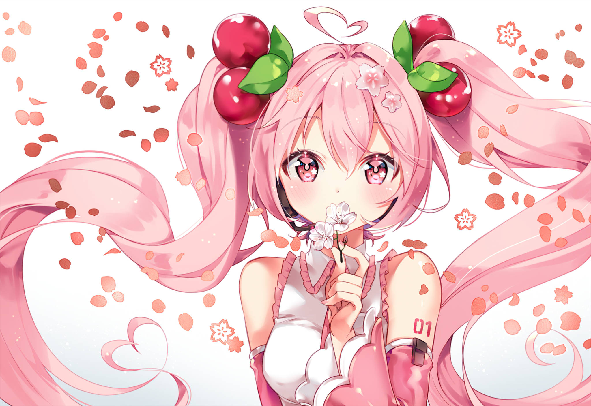 Cherry Miku phong cách anime hồng Hình nền