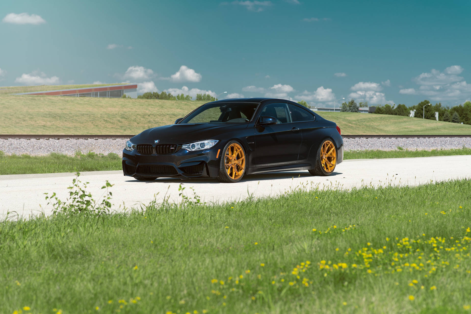Hình nền xe BMW M4 F82 màu đen trên đường với cỏ