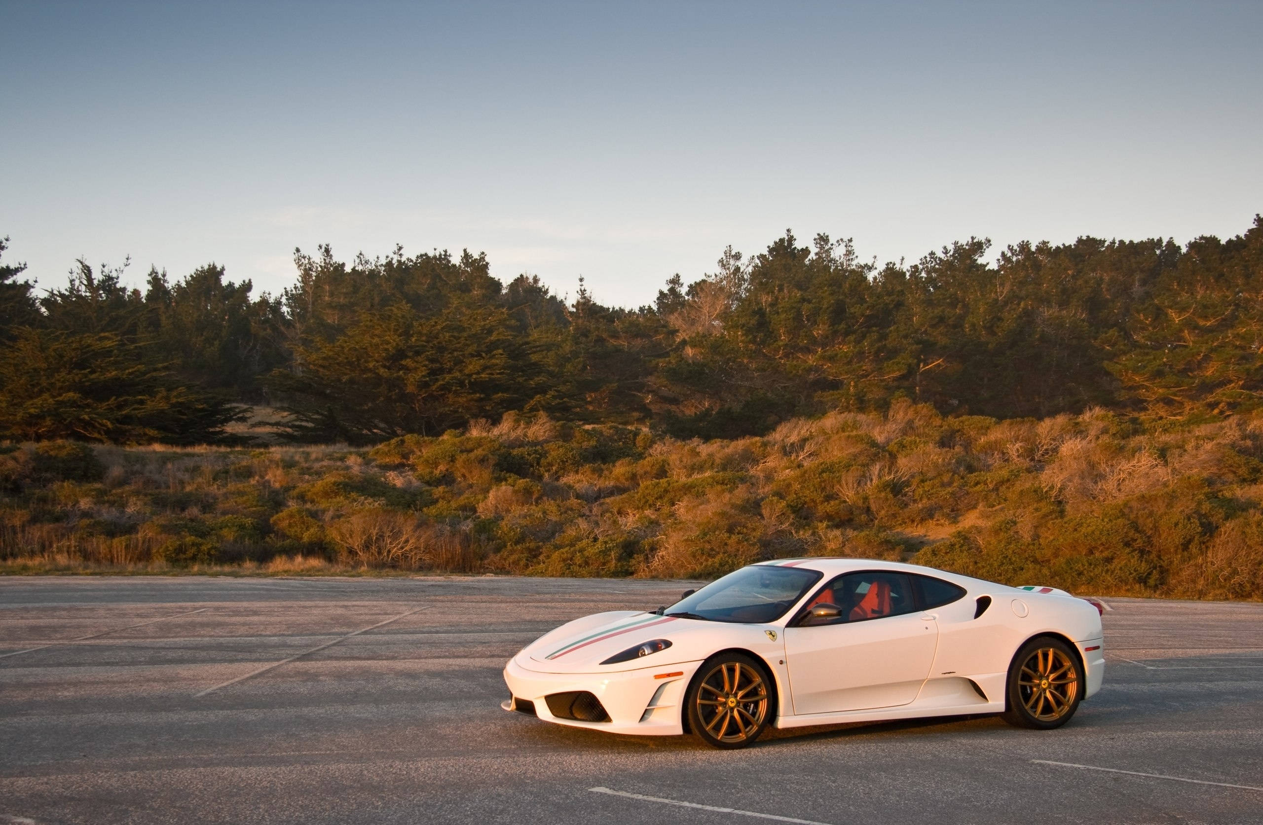 Chiếc Ferrari F430 Scuderia trắng sang trọng Hình nền