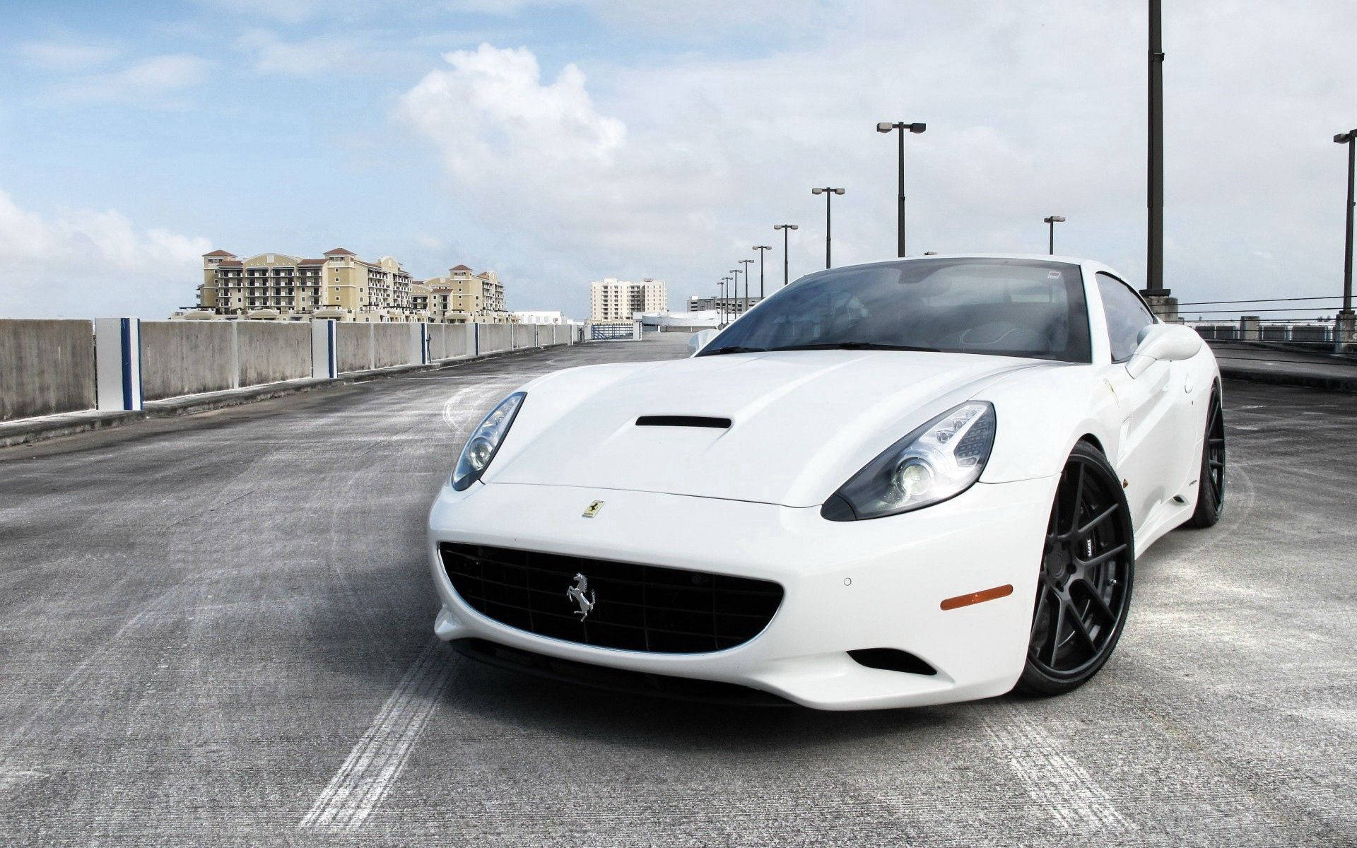 Chiêm ngưỡng chiếc Ferrari California trắng quyến rũ Hình nền
