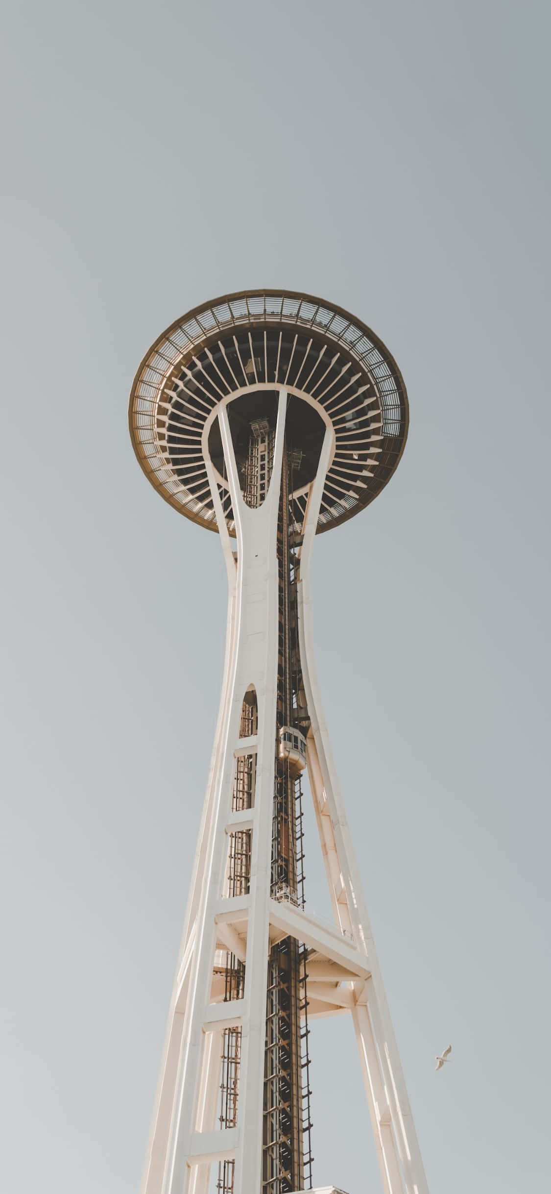 Chiêm ngưỡng đường chân trời Seattle tuyệt đẹp từ góc nhìn của iPhone X. Hình nền