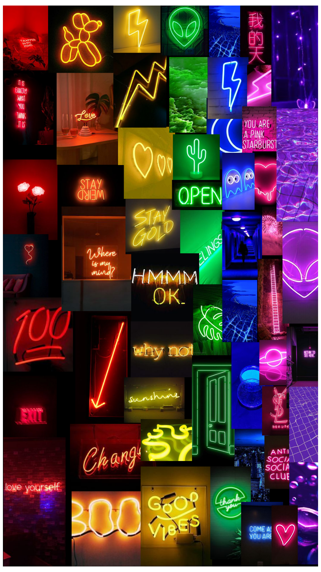 Chiêm Ngưỡng Vẻ Đẹp Neon Rực Rỡ Hình nền