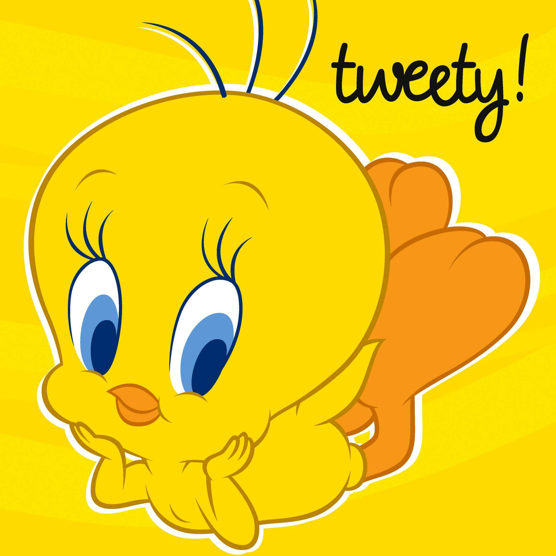 Chim Tweety Hình nền