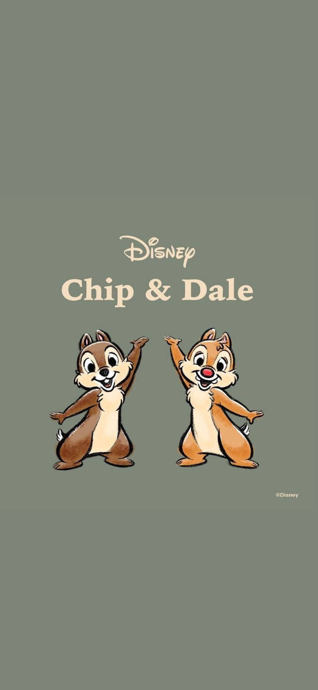Chip N Dale Trên Nền Xám Hình nền