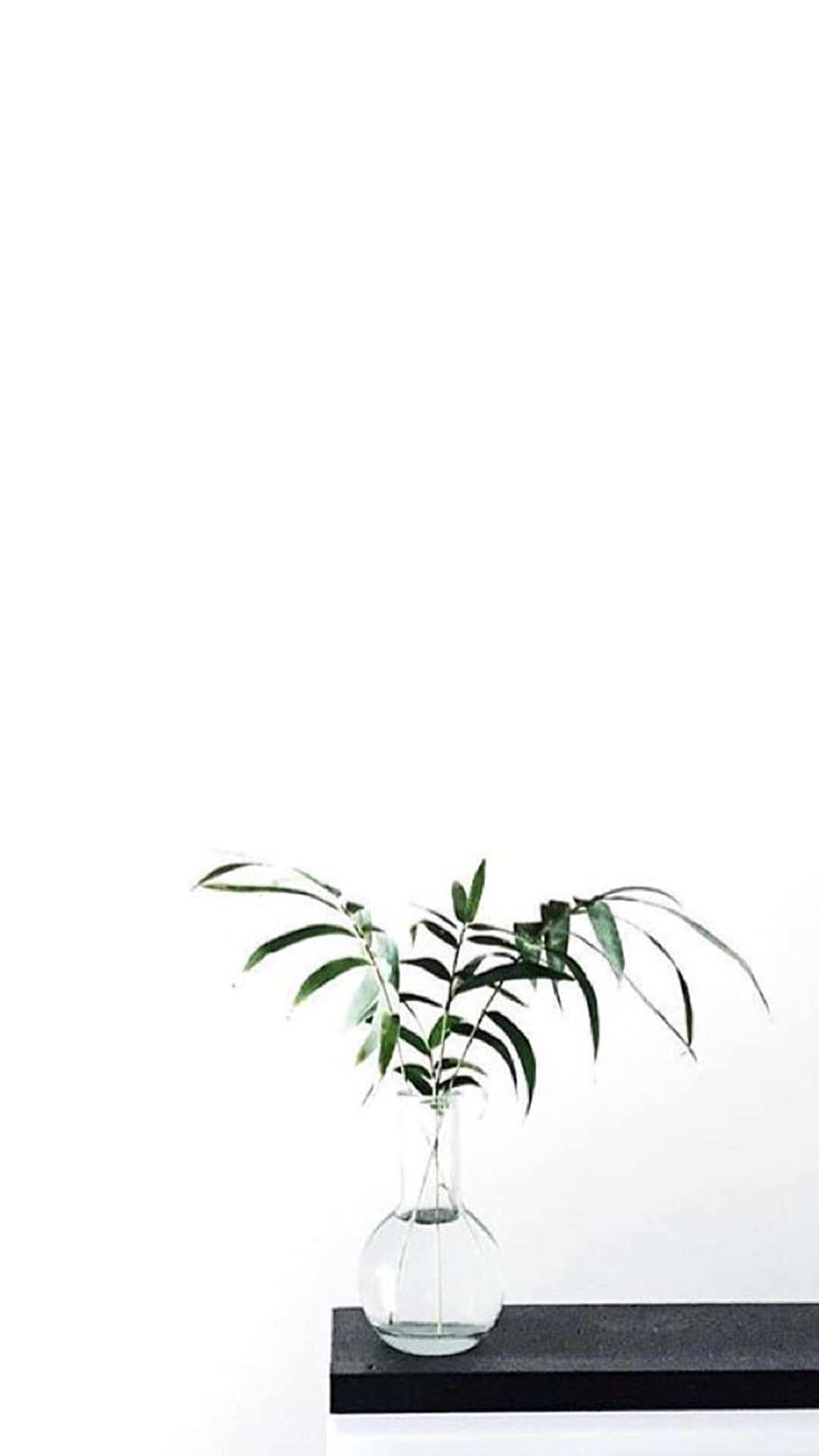 Cho cả thế giới biết rằng Aesthetic White có thể giúp bạn luôn chỉn chu. Hình nền