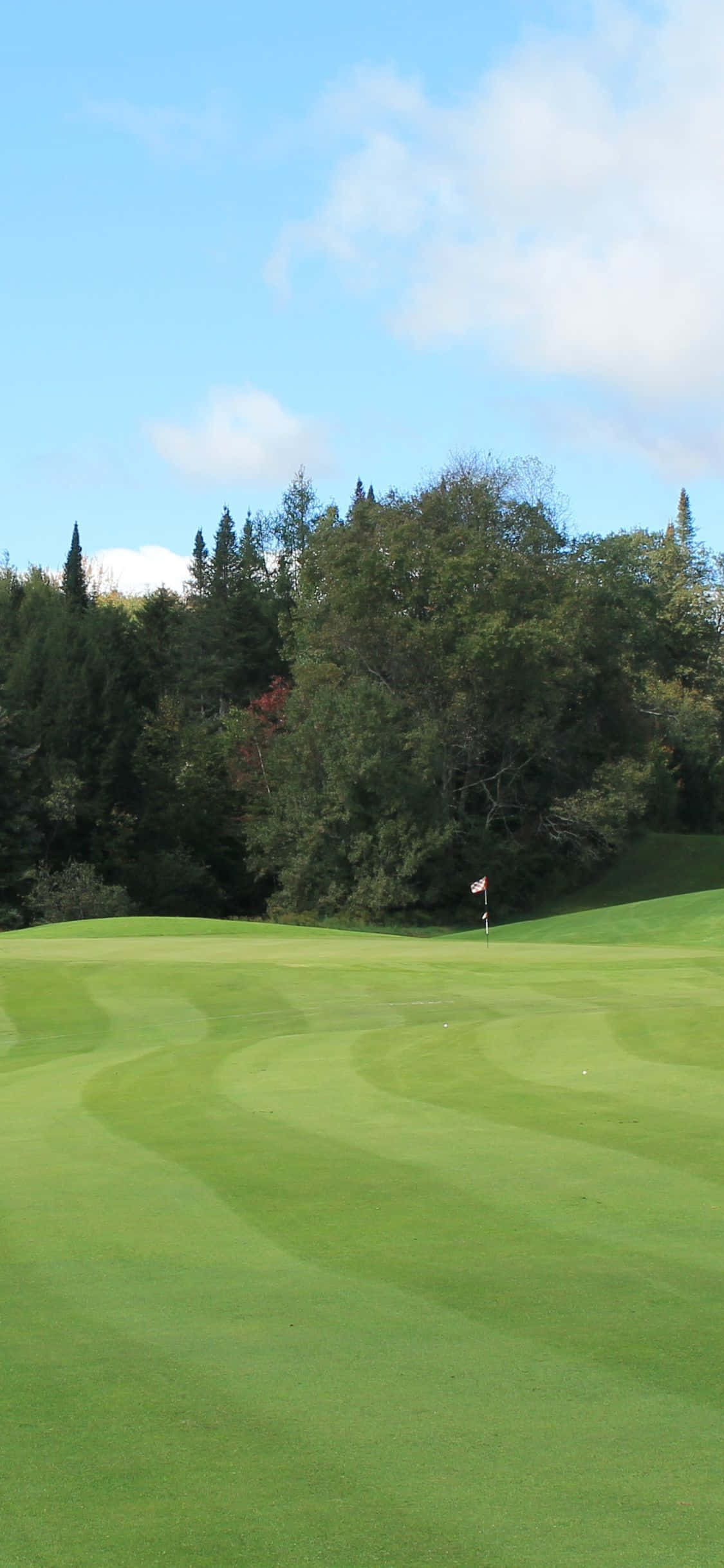 Chơi golf trên sân golf thanh bình với iPhone X Hình nền