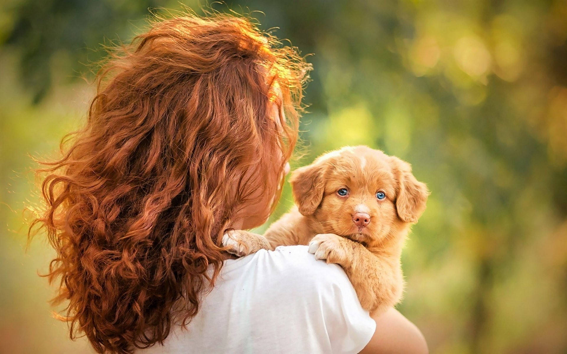 Chú cún vàng nhỏ xinh và người phụ nữ Hình nền