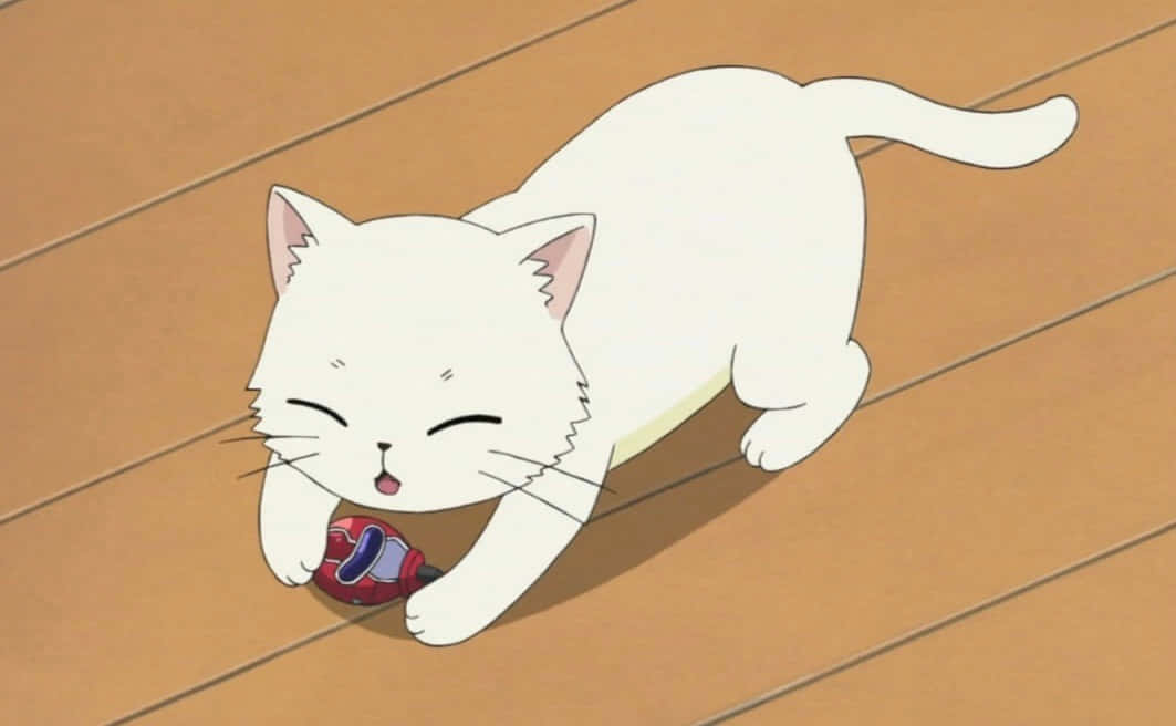 Chú mèo anime đáng yêu bắt đầu chuyến phiêu lưu Hình nền