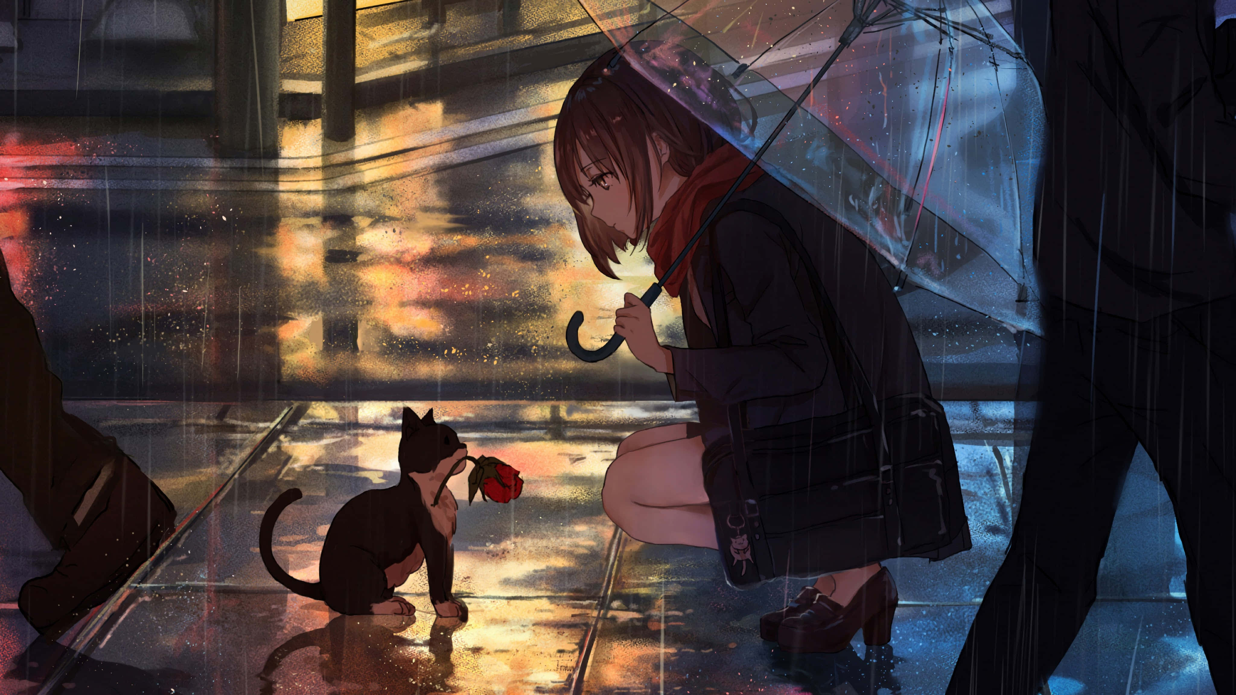 Chú mèo anime đáng yêu đang ngủ say Hình nền