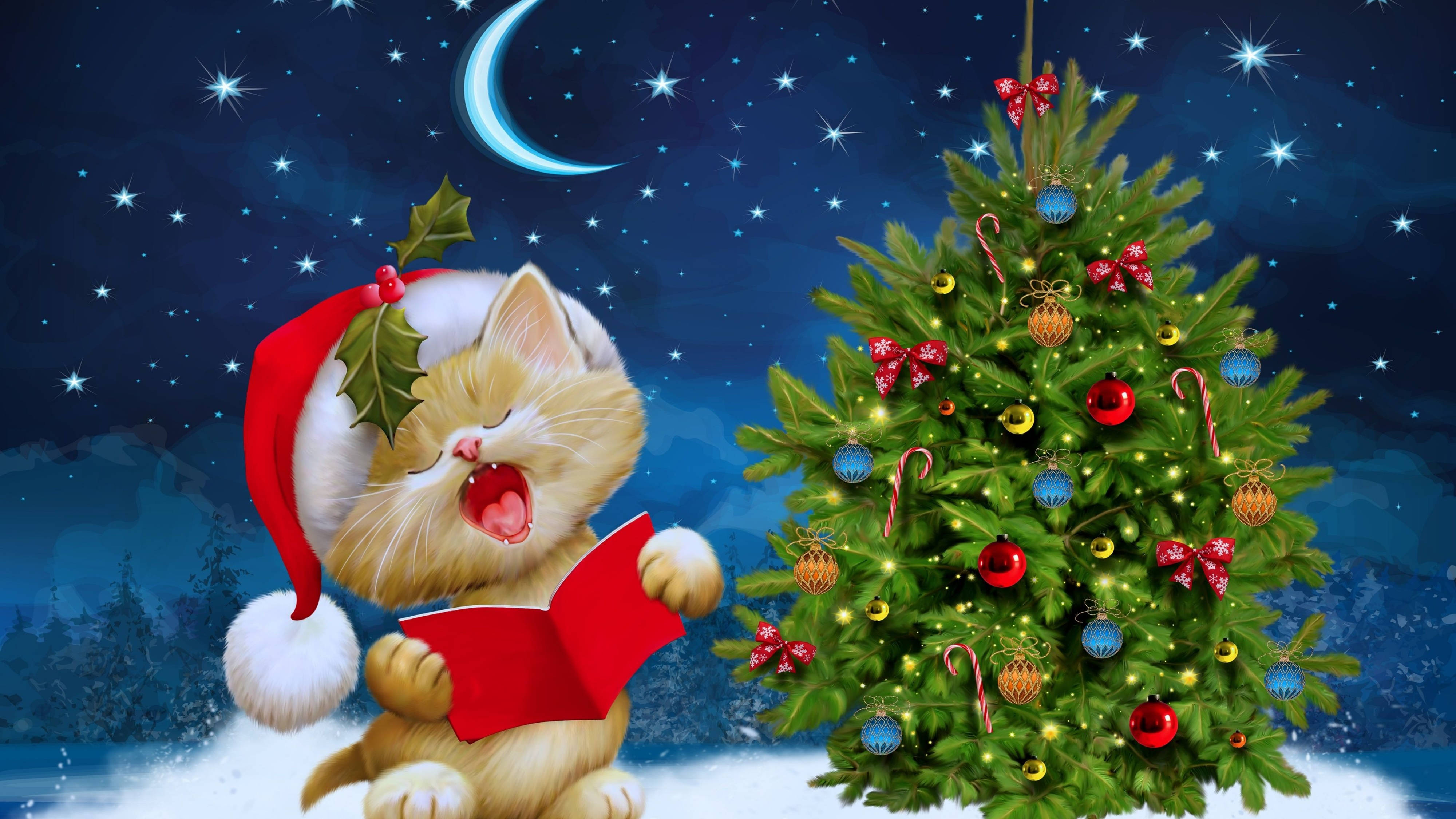Chú mèo con đáng yêu đội mũ ông già Noel mừng Giáng sinh trong siêu nét 4K. Hình nền