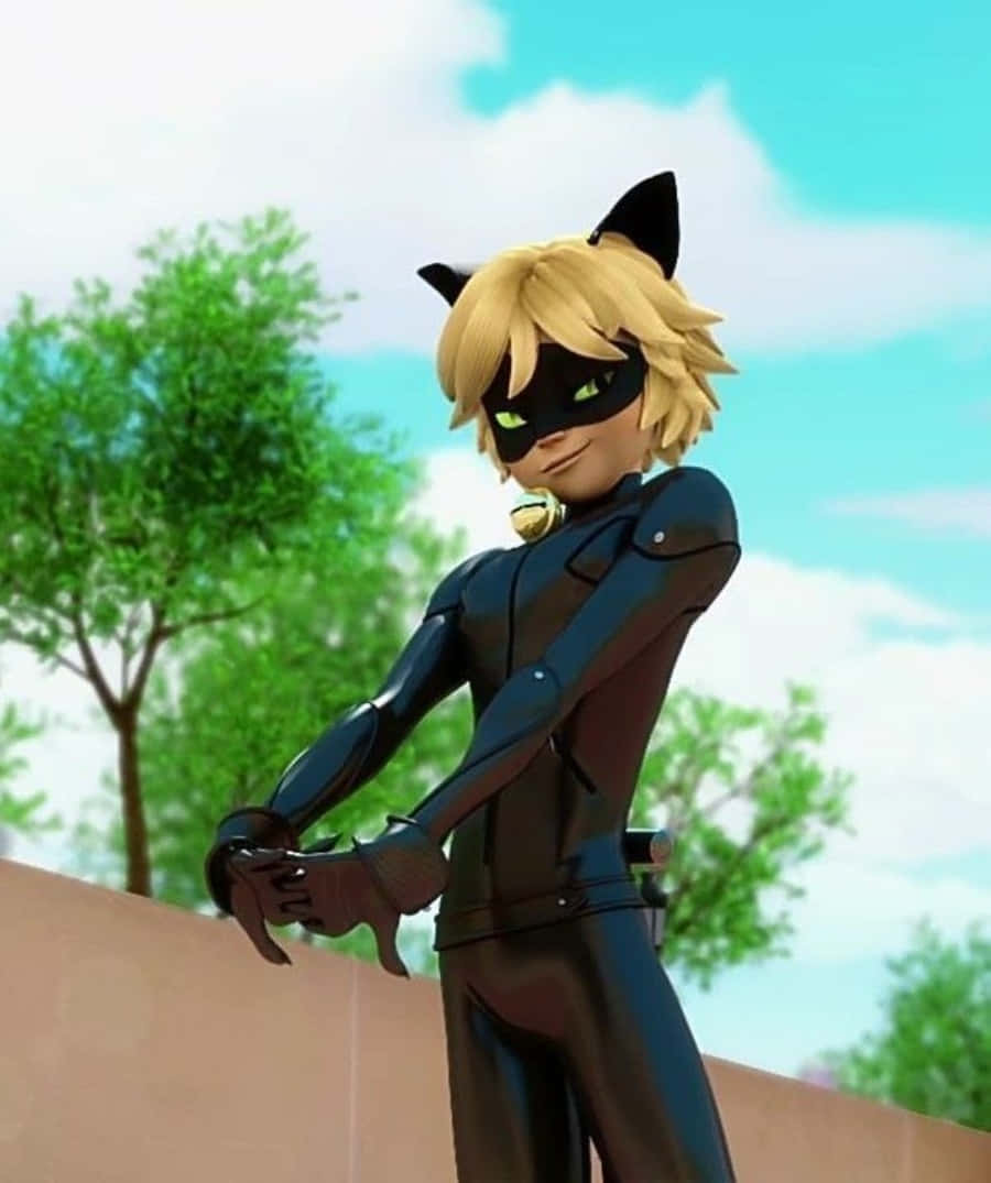 Chú Mèo Ngầu Nhất Thị Trấn - Cat Noir Hình nền