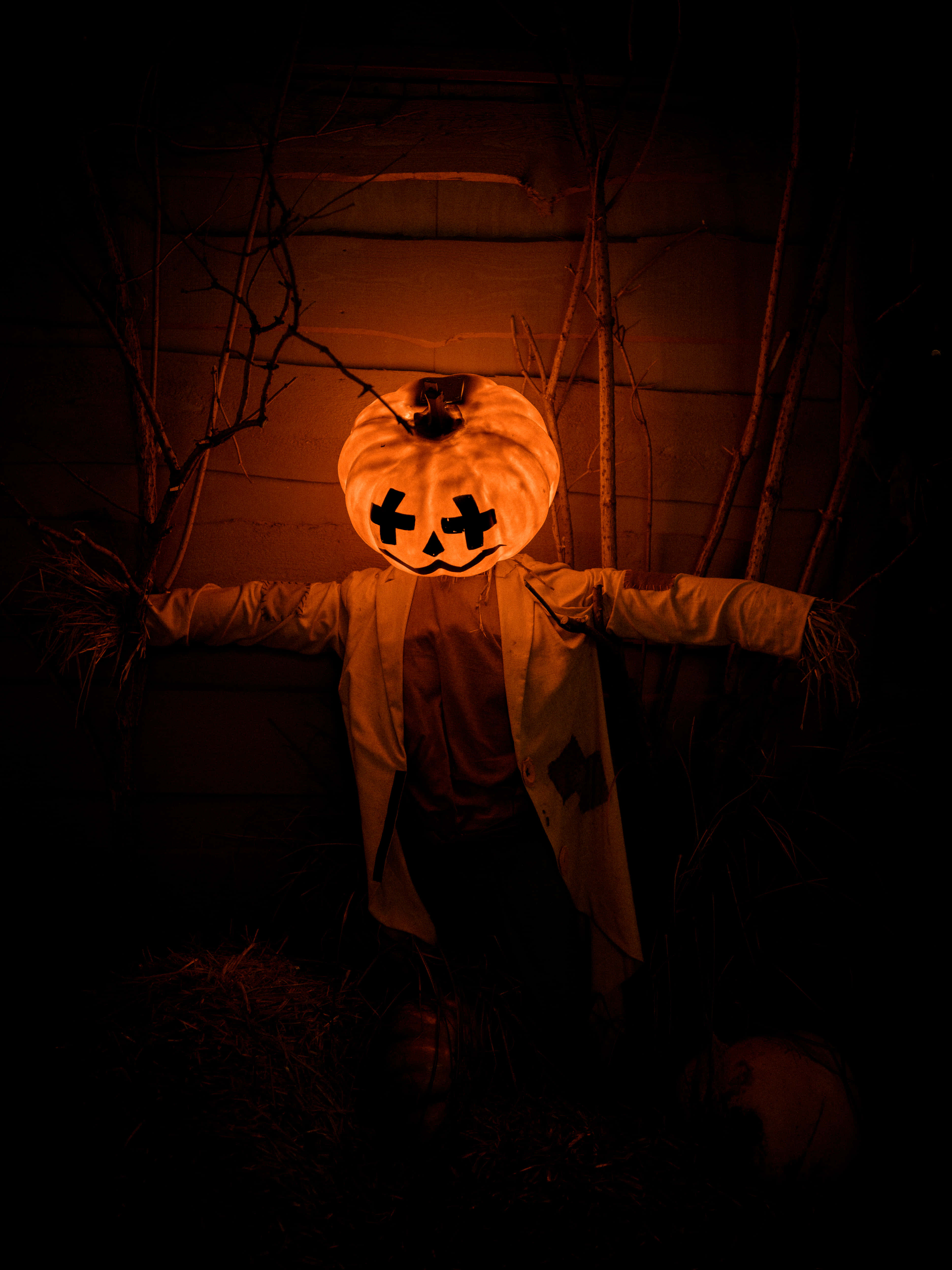 Chú thích: Quả bí ngô Halloween đầy mê hoặc trong đêm thu Hình nền