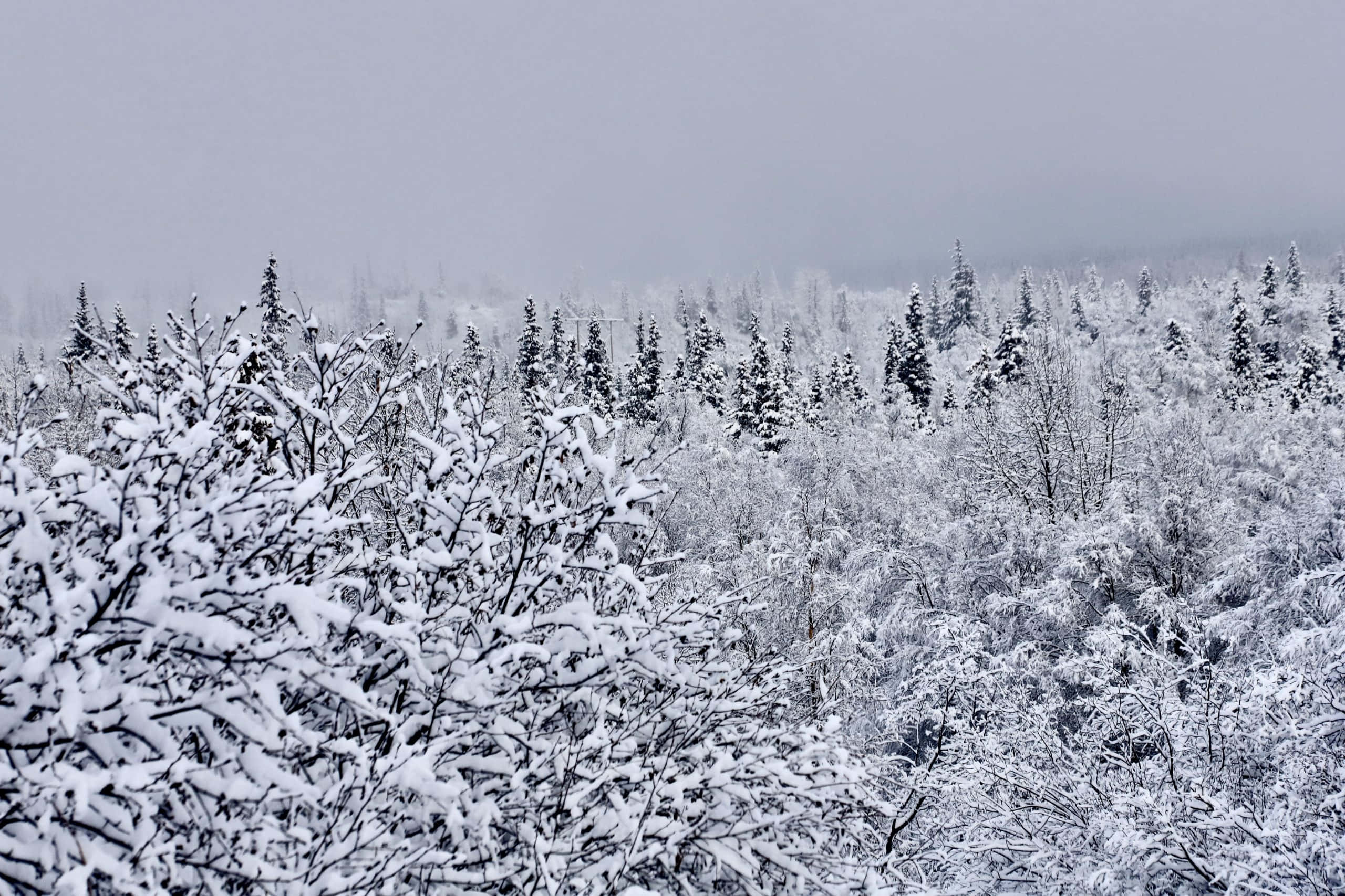 Chú thích: Quang cảnh Anchorage, Alaska Hình nền
