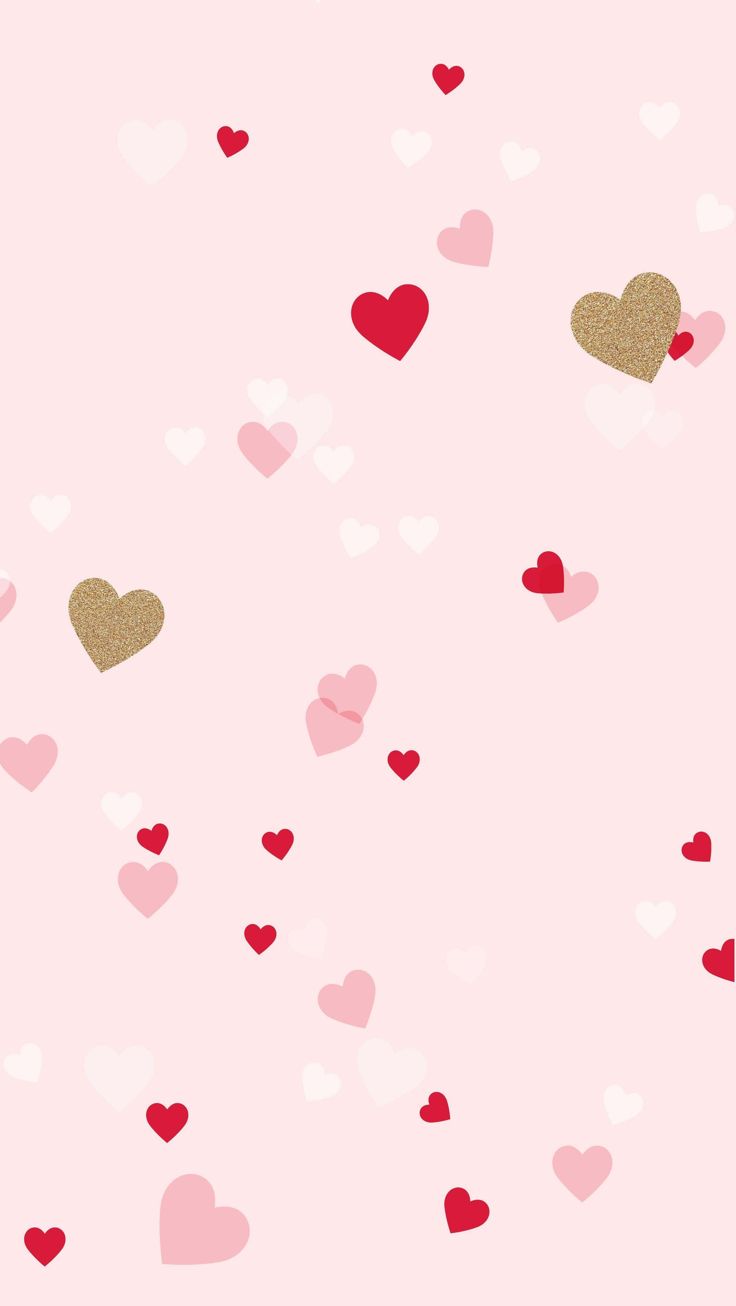 Chúc mừng ngày Valentine dành tặng người đặc biệt của bạn một món quà ý nghĩa! Hình nền