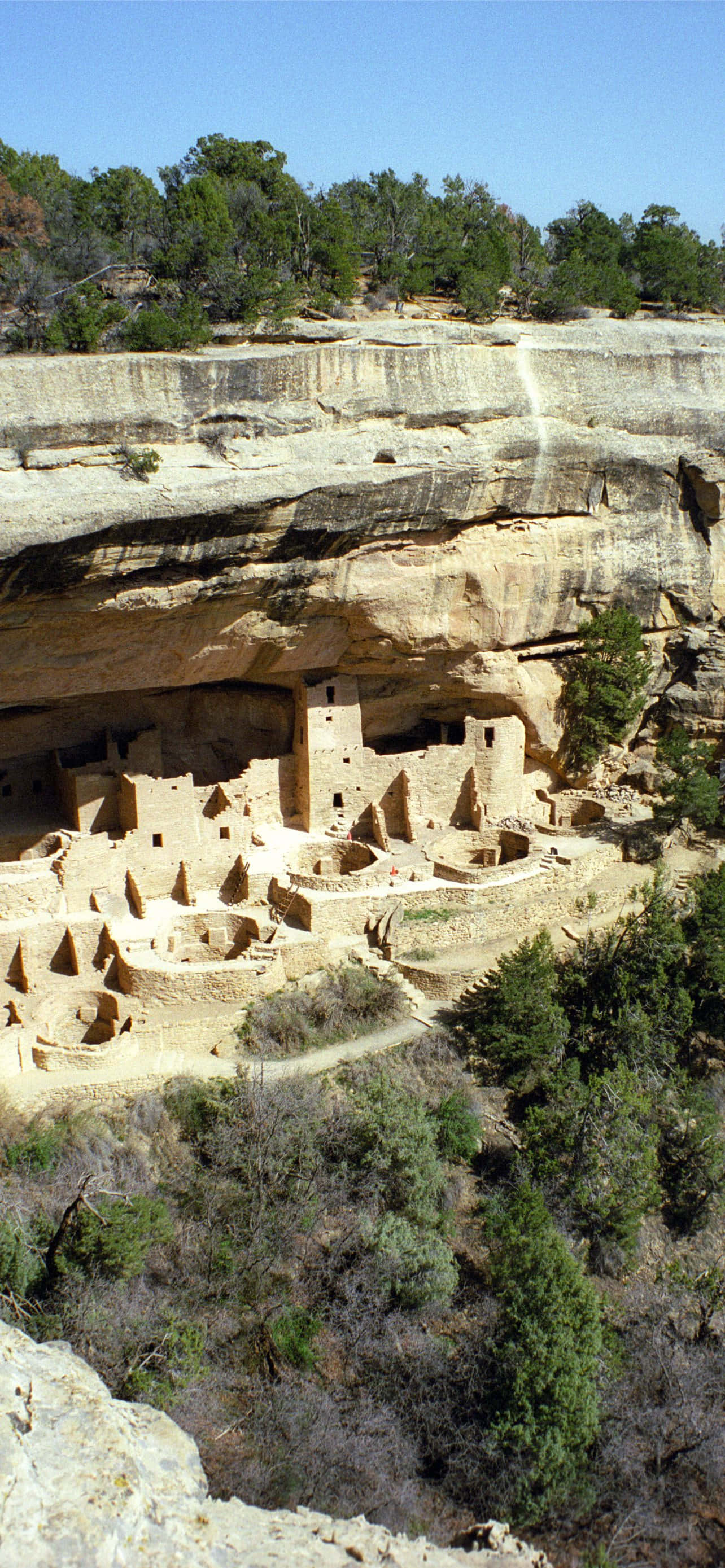 Cliff Palace Màu Nâu Tan Công Viên Quốc Gia Mesa Verde Hình nền