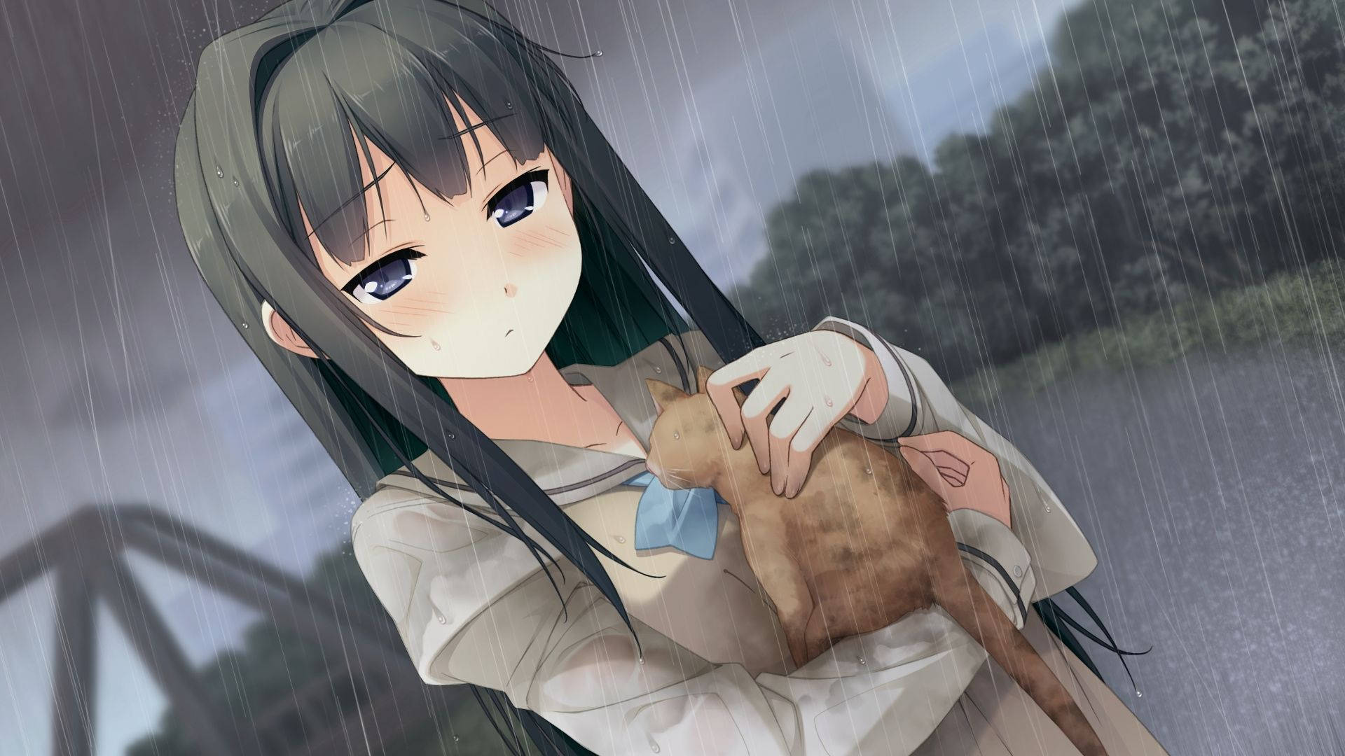 Cô gái anime ôm mèo Nightcore Hình nền