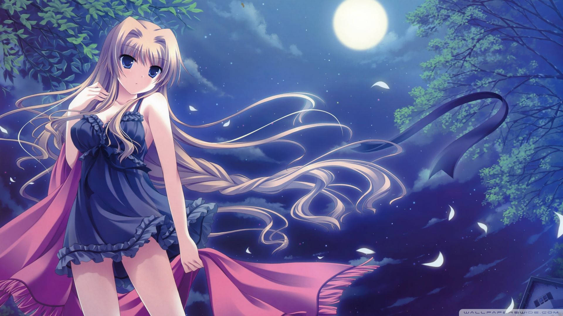 Cô gái anime trong bộ đồ lót gợi cảm Hình nền