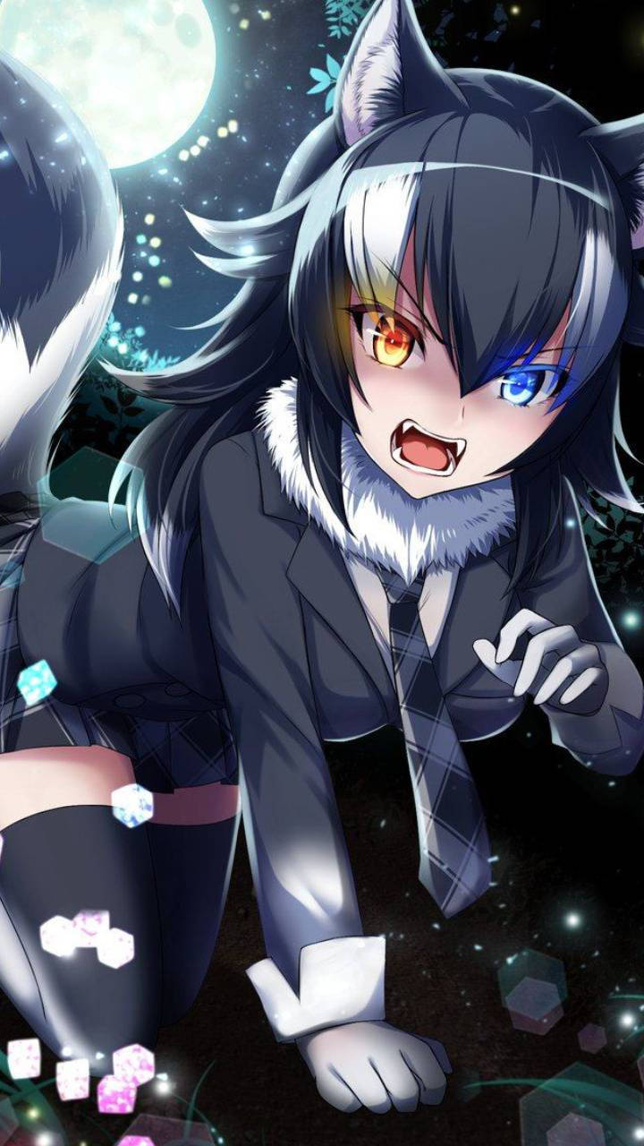Cô Gái Sói Anime Dễ Thương Làm Ảnh Đại Diện Hình nền