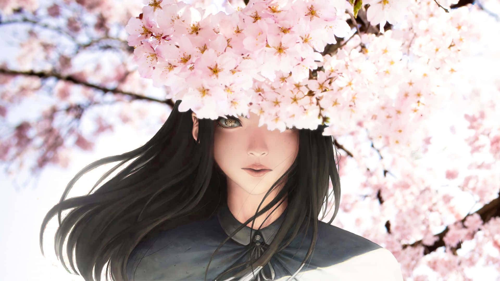 Cô Gái Tóc Đen Xinh Đẹp Với Hoa Anh Đào Anime Hình nền