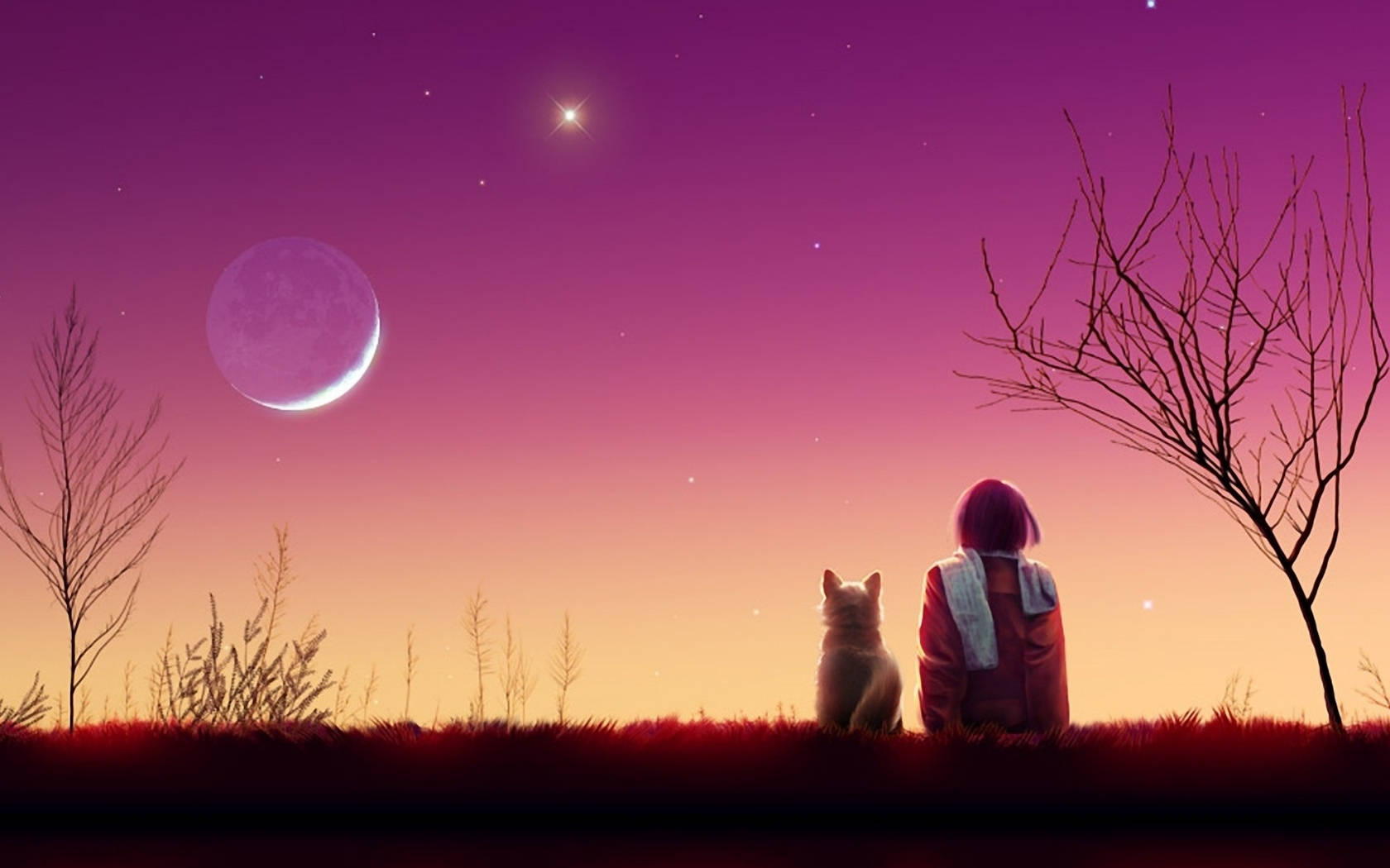 Cô Gái Và Mèo Anime Hoàng Hôn Thẩm Mỹ Hình nền