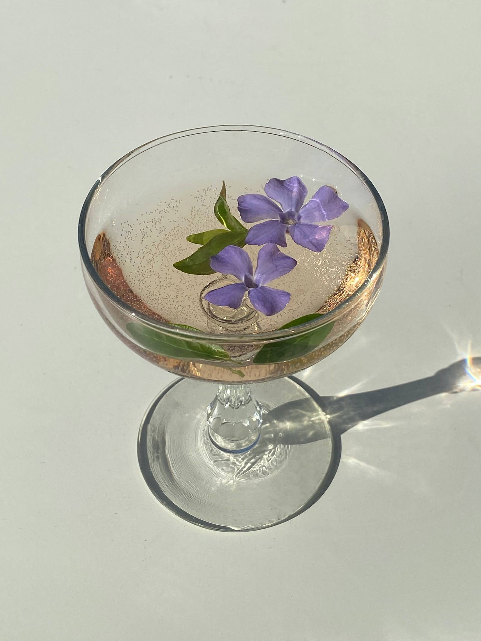 Cocktail Tím Nhạt Thẩm Mỹ Hình nền