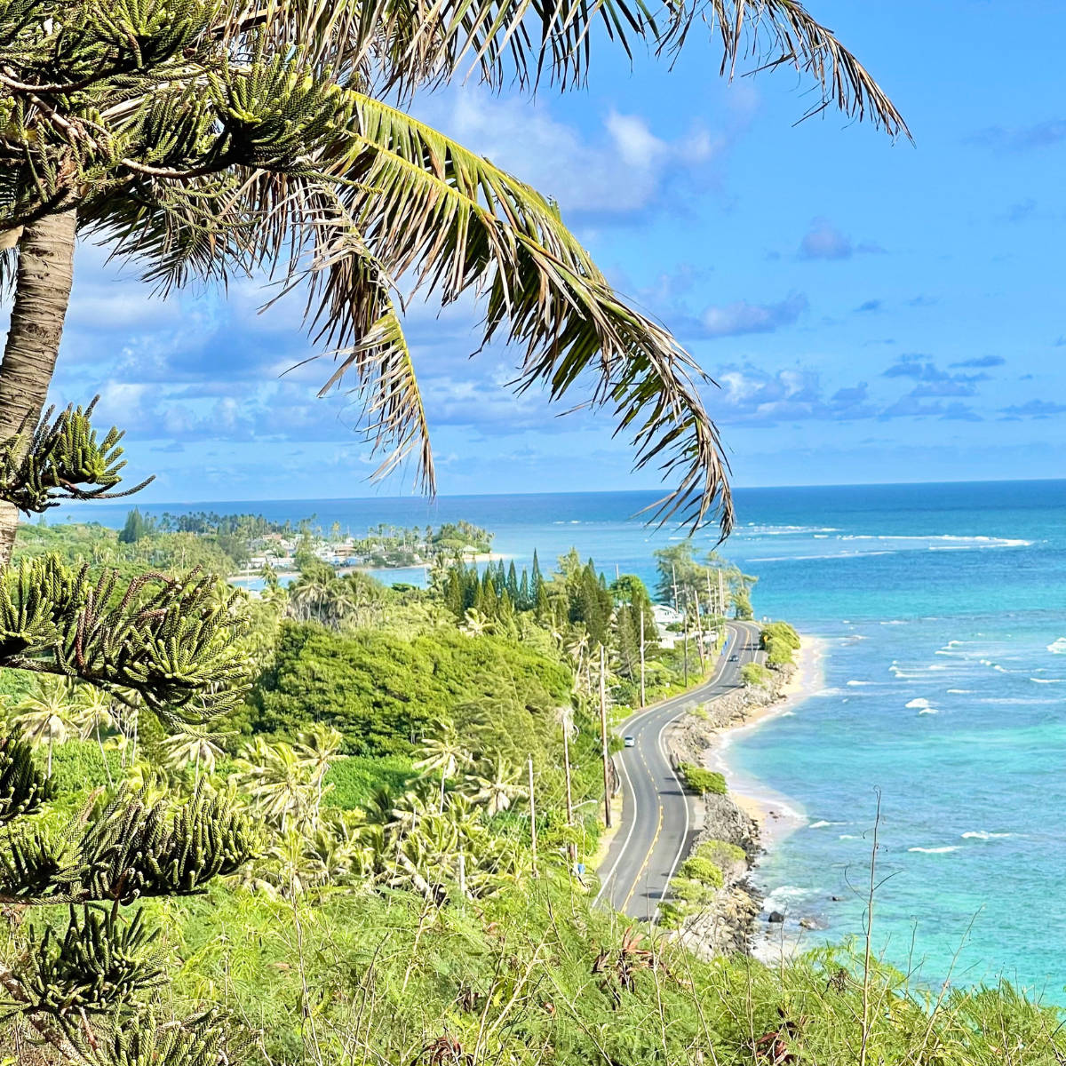 Con đường Oahu bên biển Hình nền