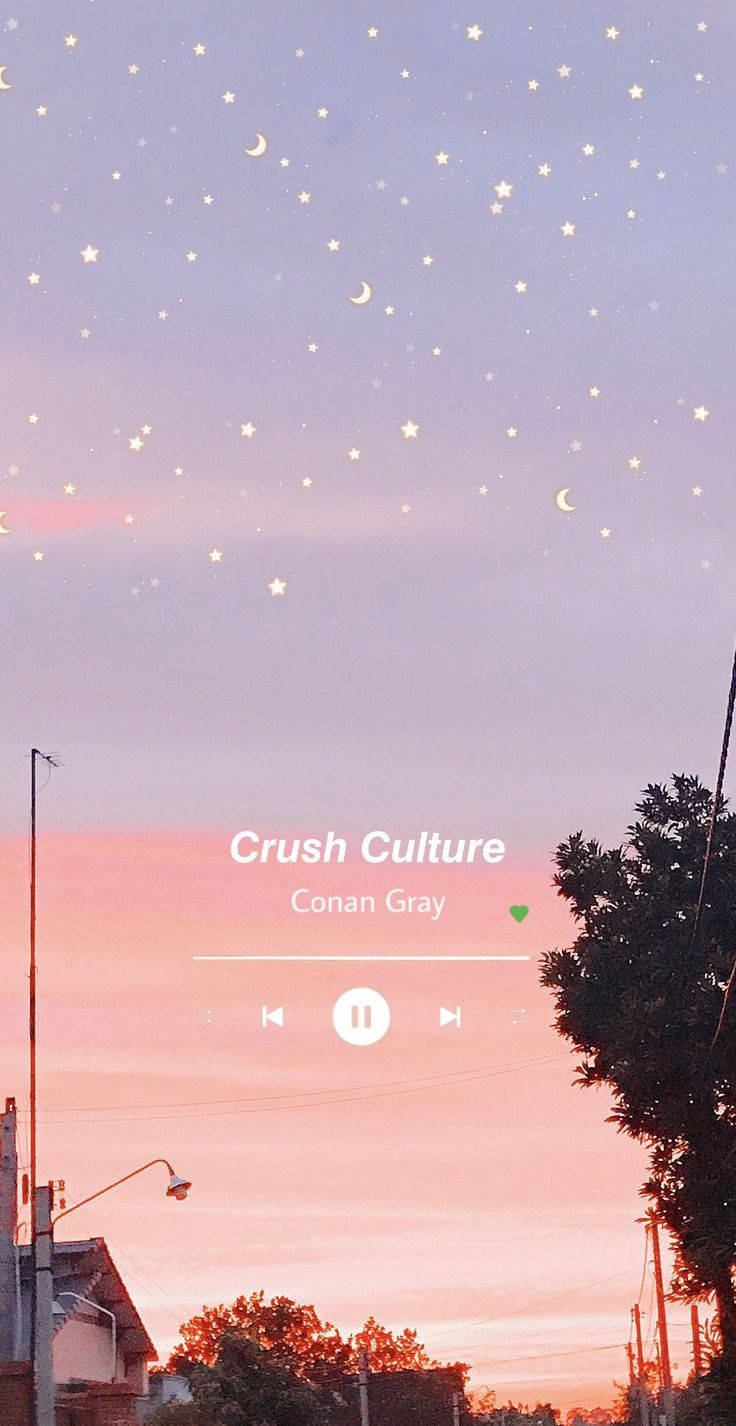 Conan Gray Âm nhạc Thẩm mỹ Hình nền
