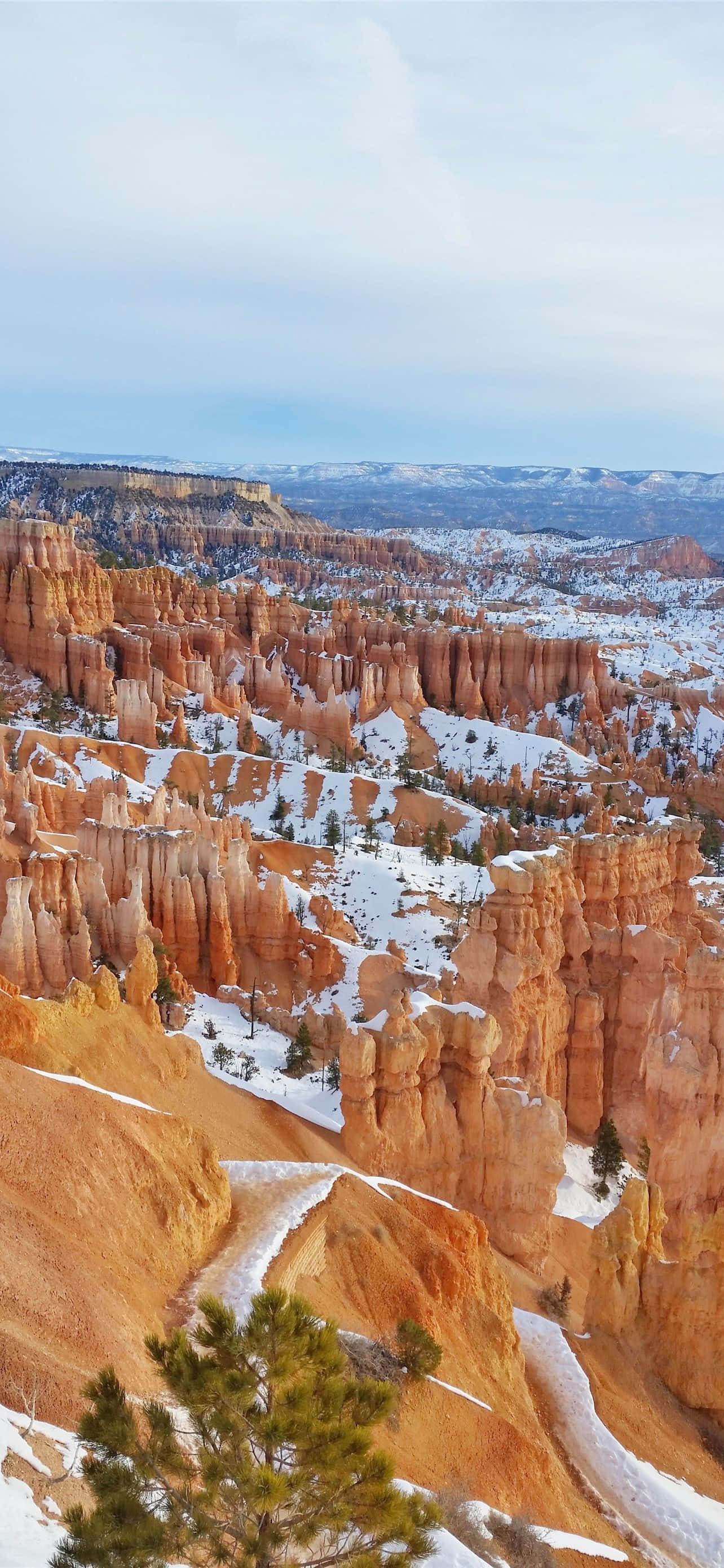 Công viên Quốc gia Bryce Canyon Sau Trận Mưa Tuyết Hình nền
