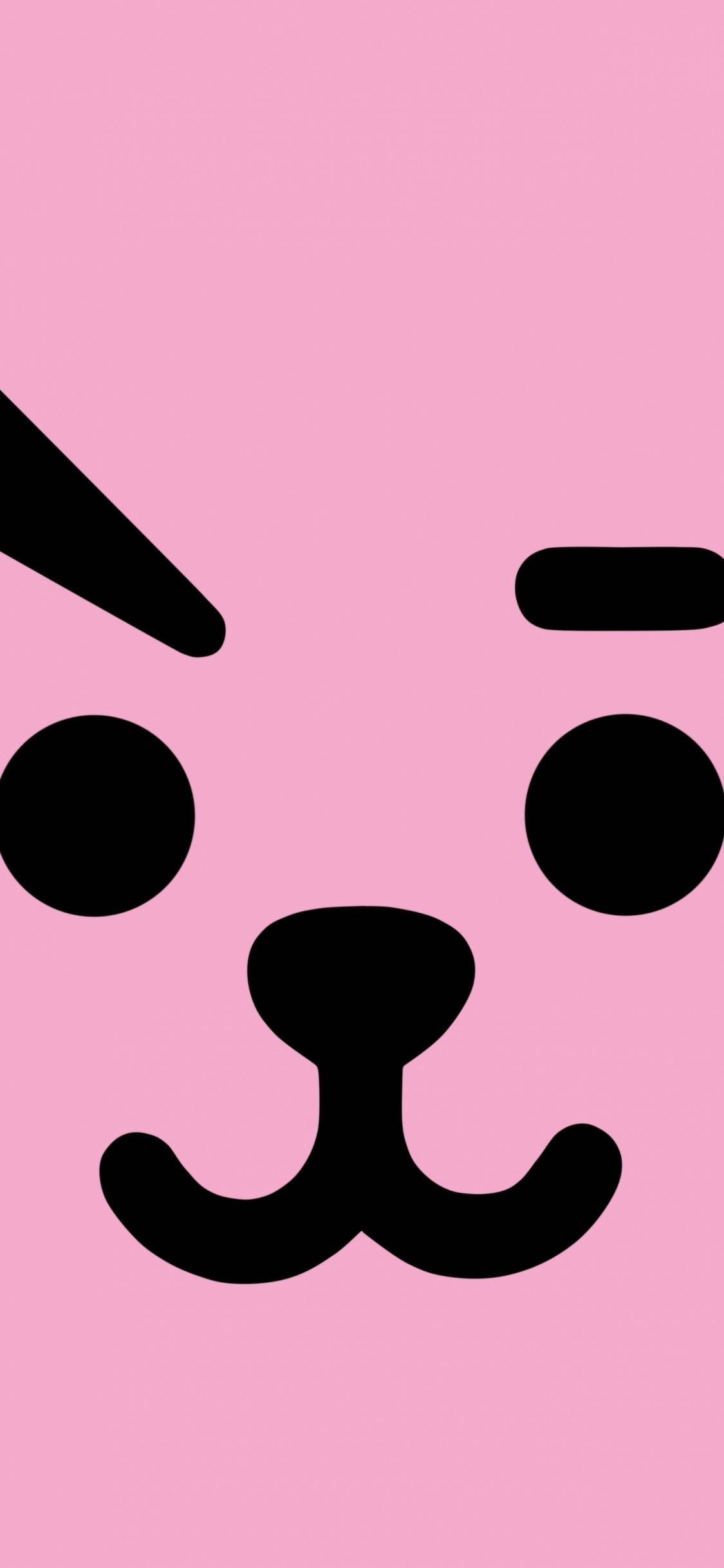 Cooky Bt21 toàn khuôn mặt Hình nền