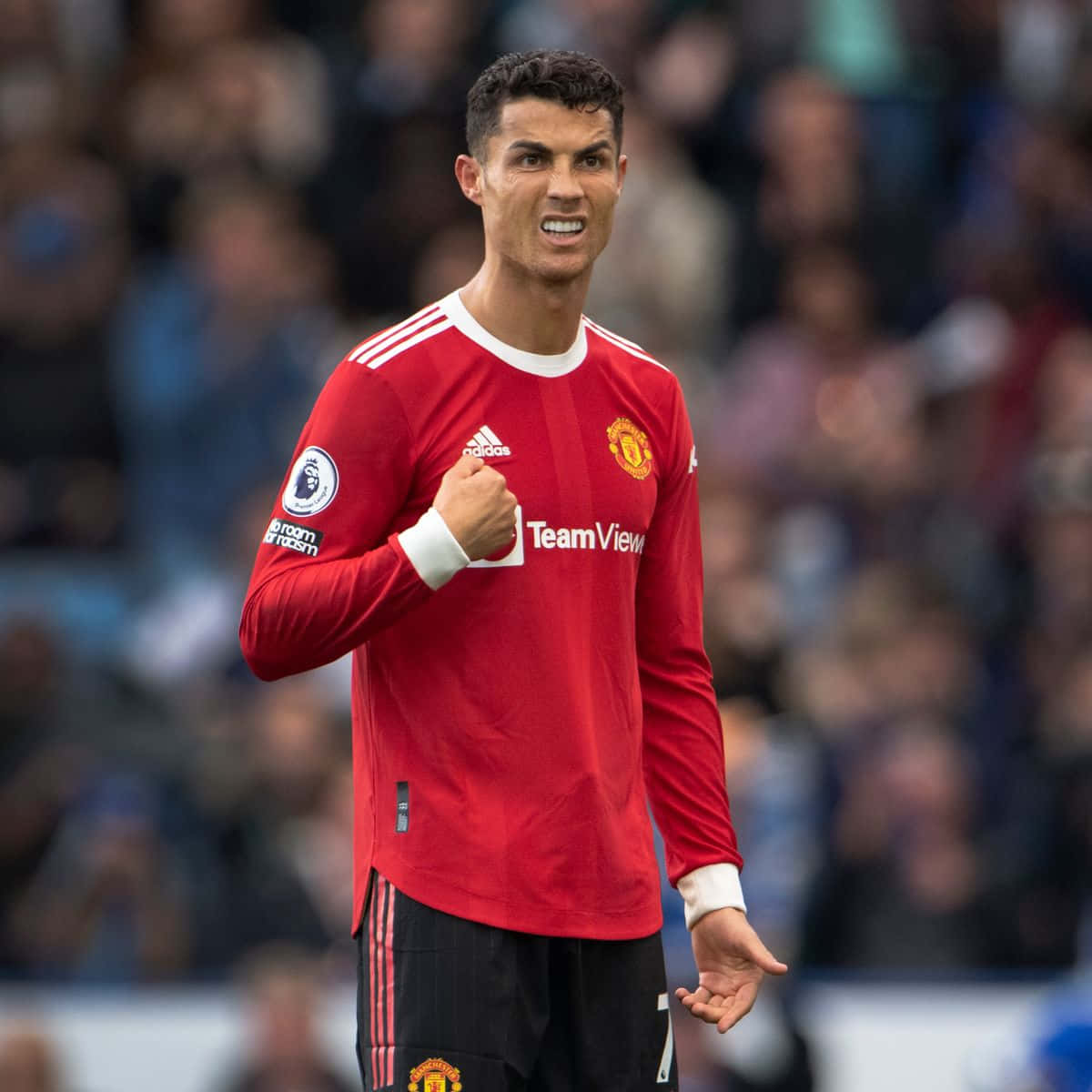 Cristiano Ronaldo tạo dáng trên sân cỏ Hình nền