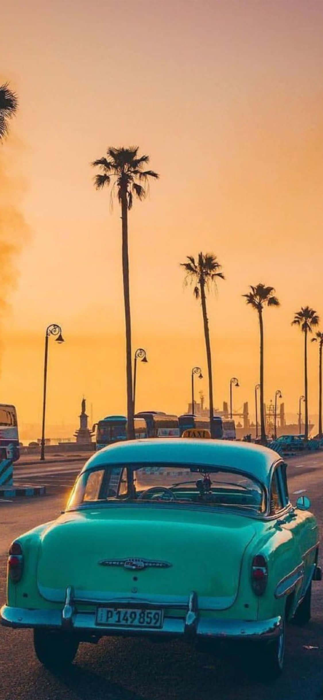 Đại diện cho tinh thần thoải mái và vô tư của California Hình nền