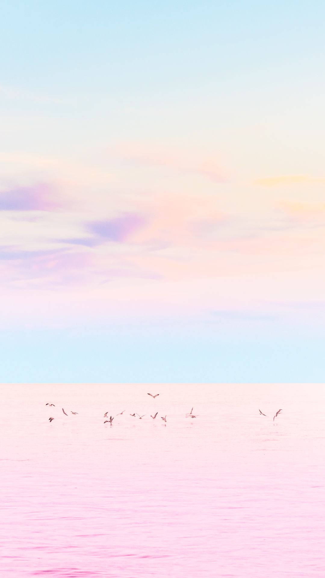 Đại dương hồng pastel cho iPhone Hình nền