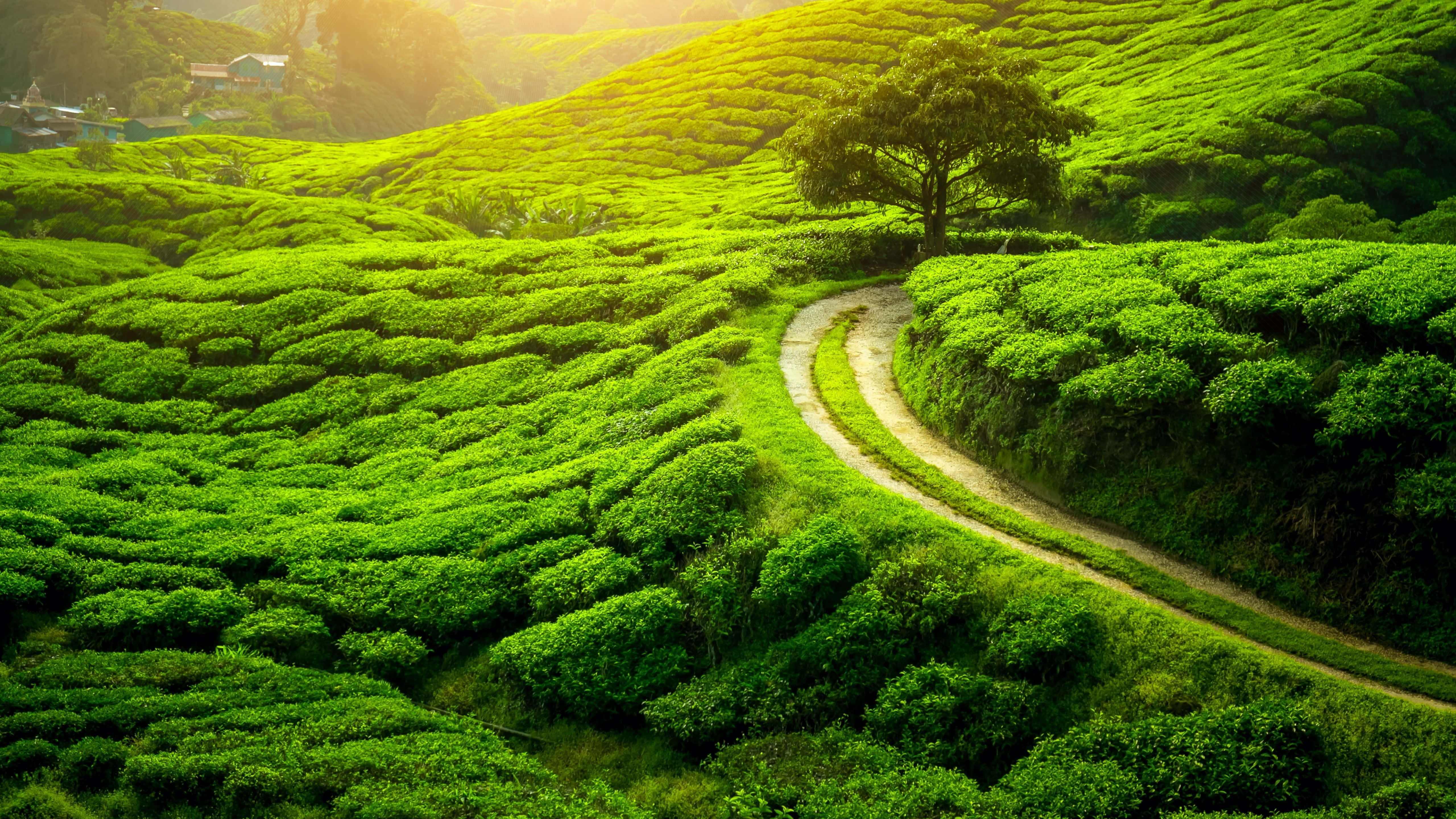 Dãy núi hùng vĩ Bắc Âu Hình nền