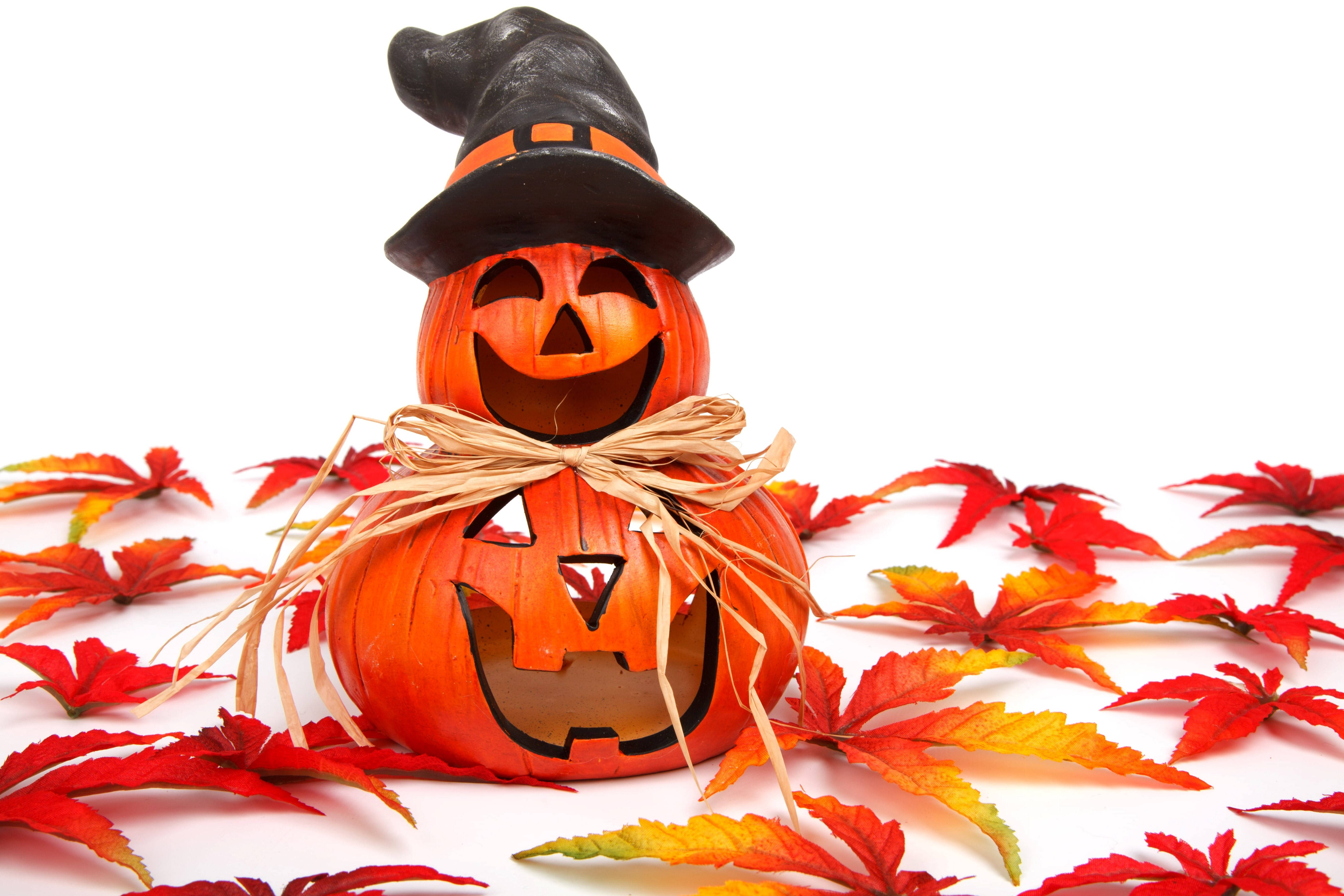 Dễ thương Halloween mùa thu Jack O' Lantern Hình nền