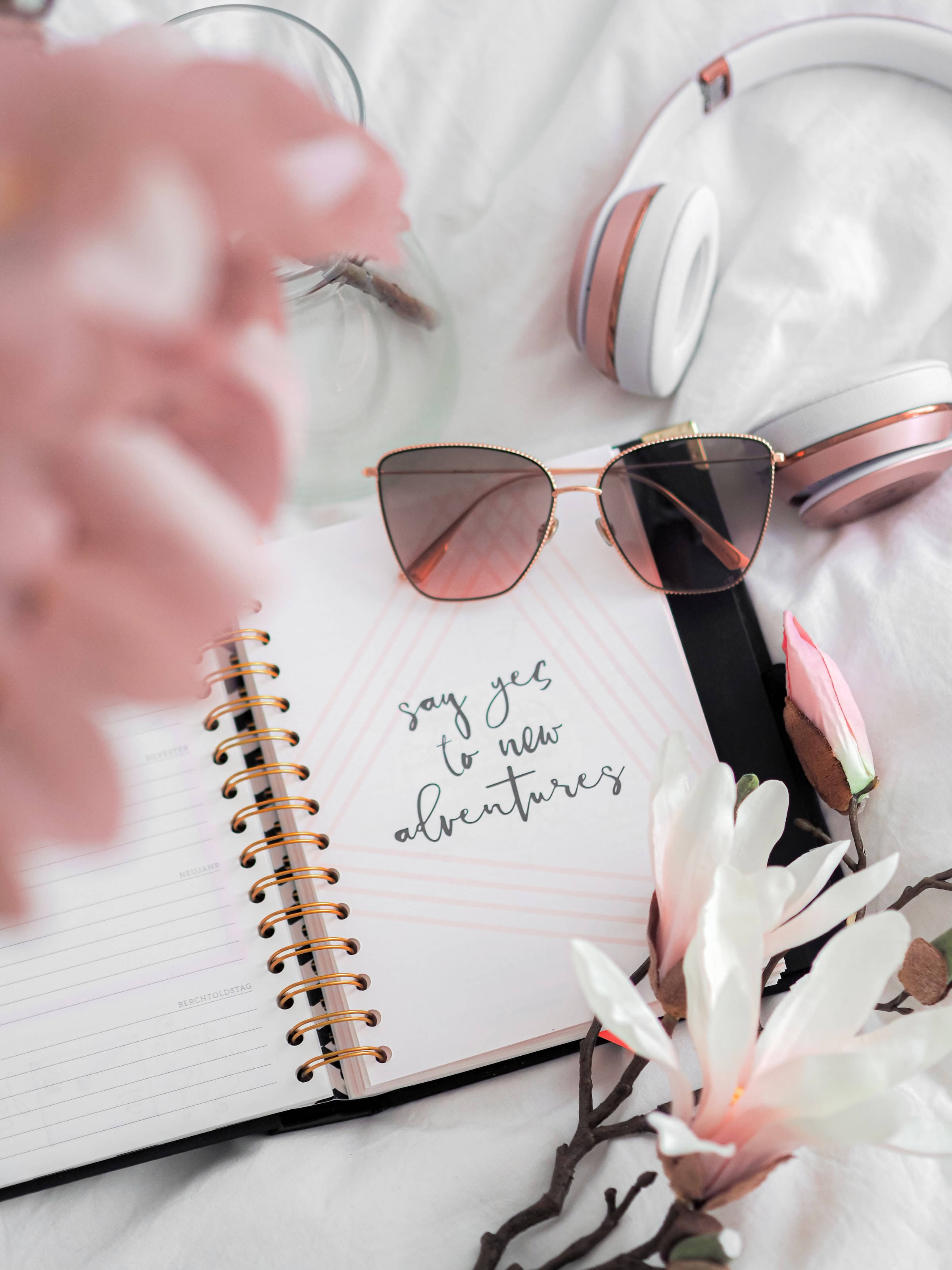 Dễ Thương Phong Cách Hồng Câu Trích Cuộc Phiêu Lưu Mới Hình nền