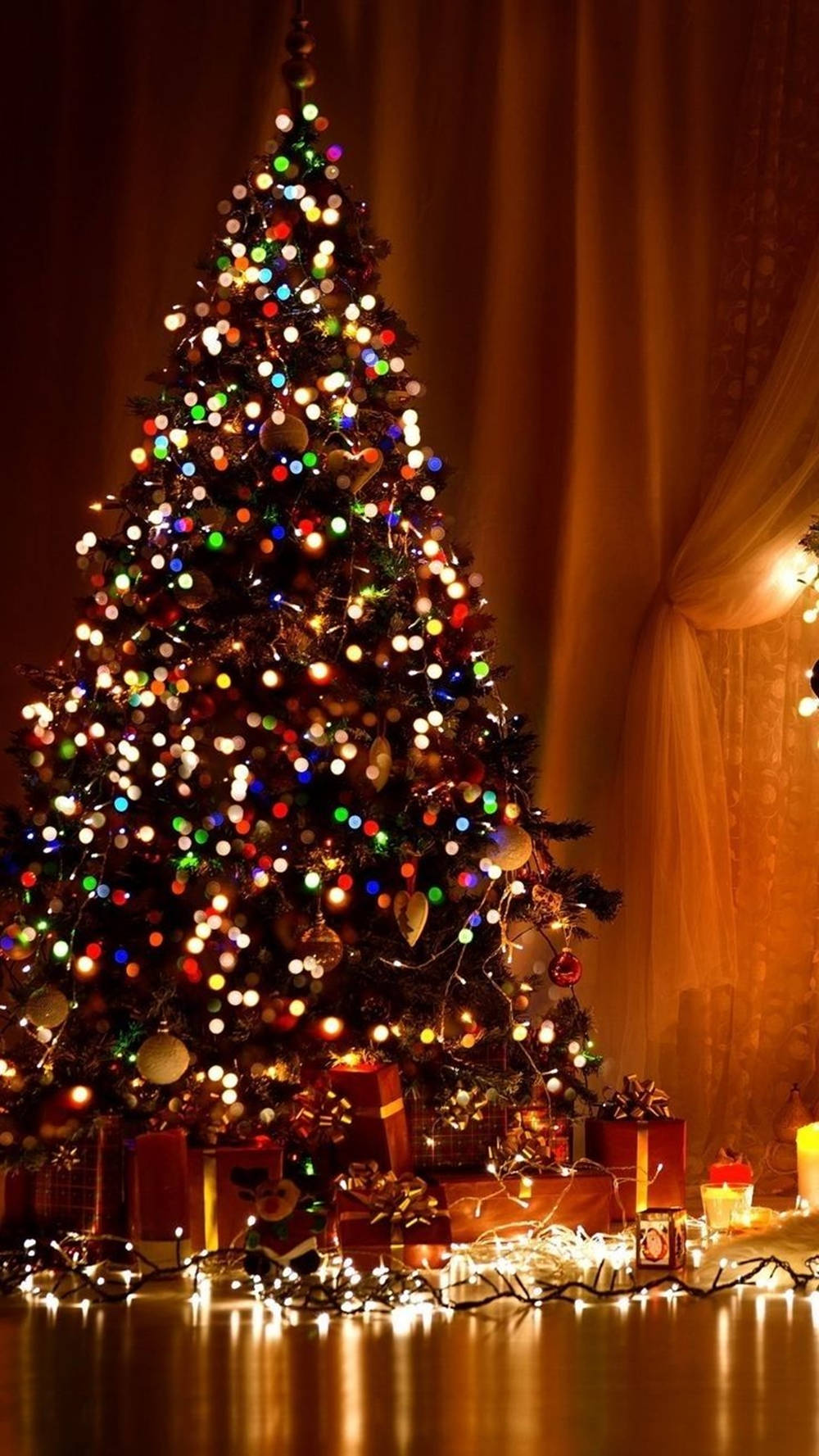 Đèn Cây Thông Noel Sặc Sỡ Đang Hot Hình nền