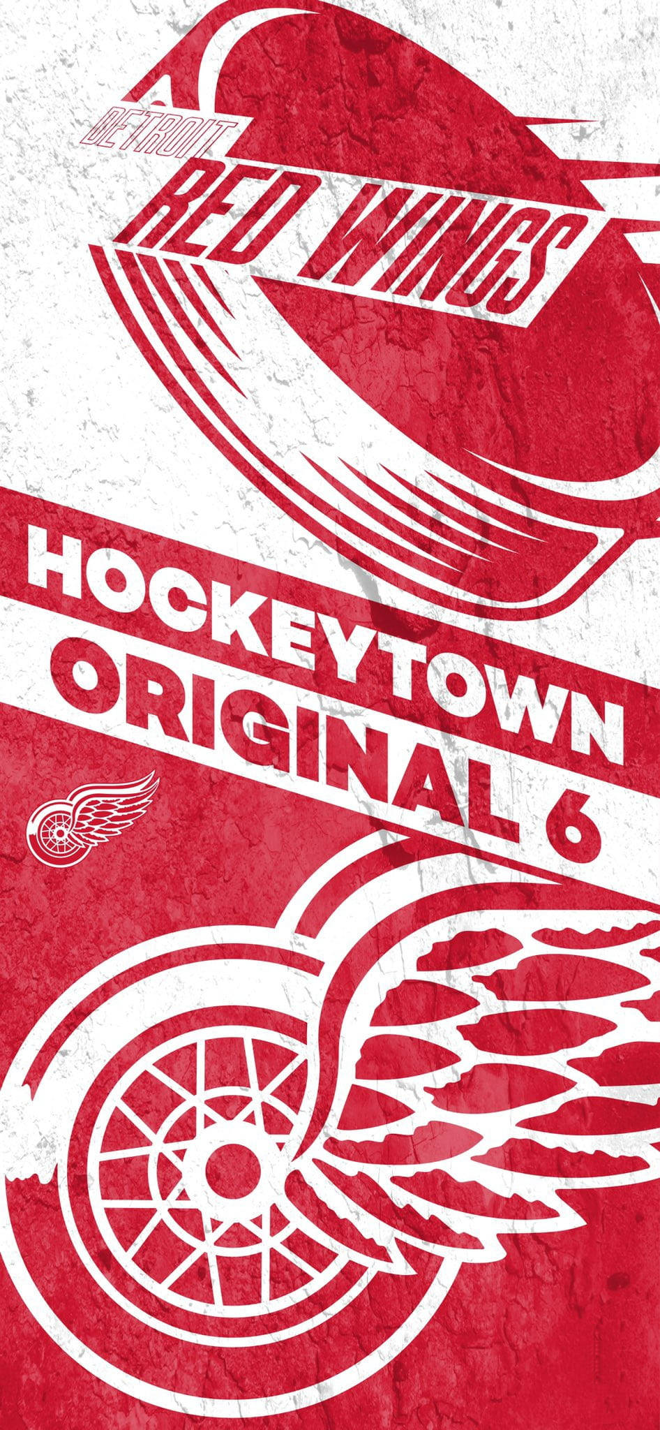 Detroit Red Wings Hockey Town Hình nền