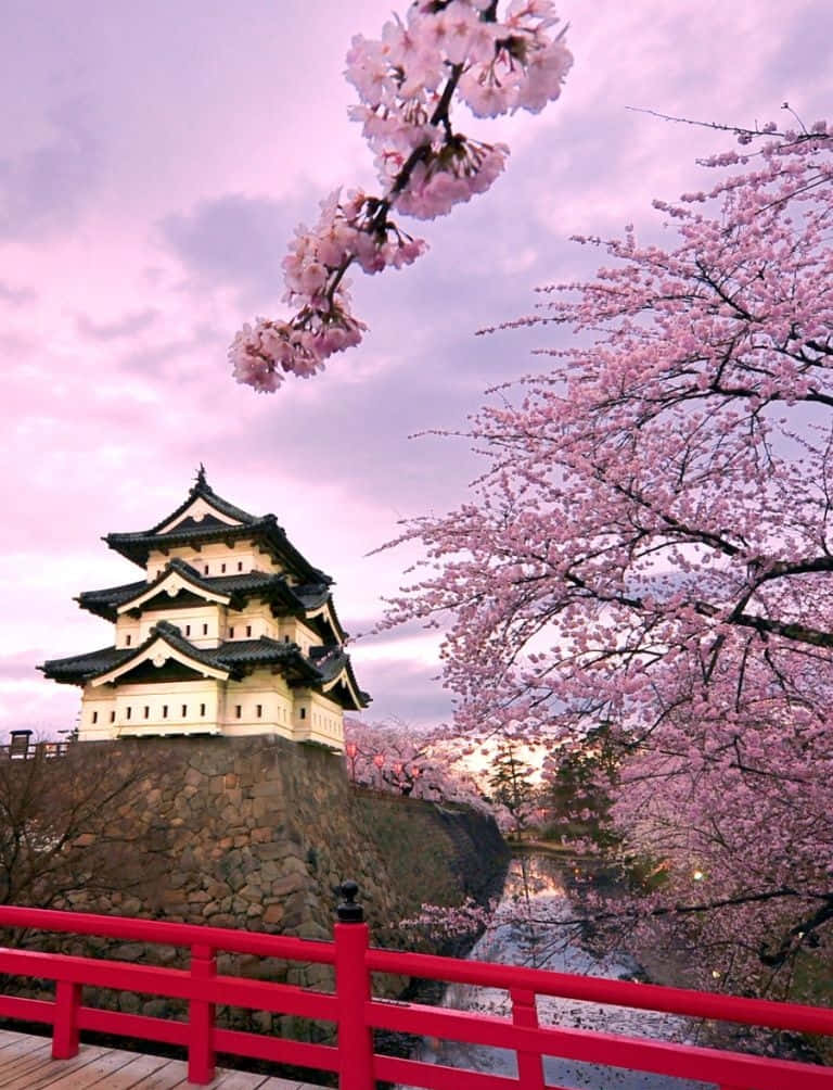 Điện thoại Nhật Bản Lâu đài Hirosaki dưới bầu trời tím Hình nền