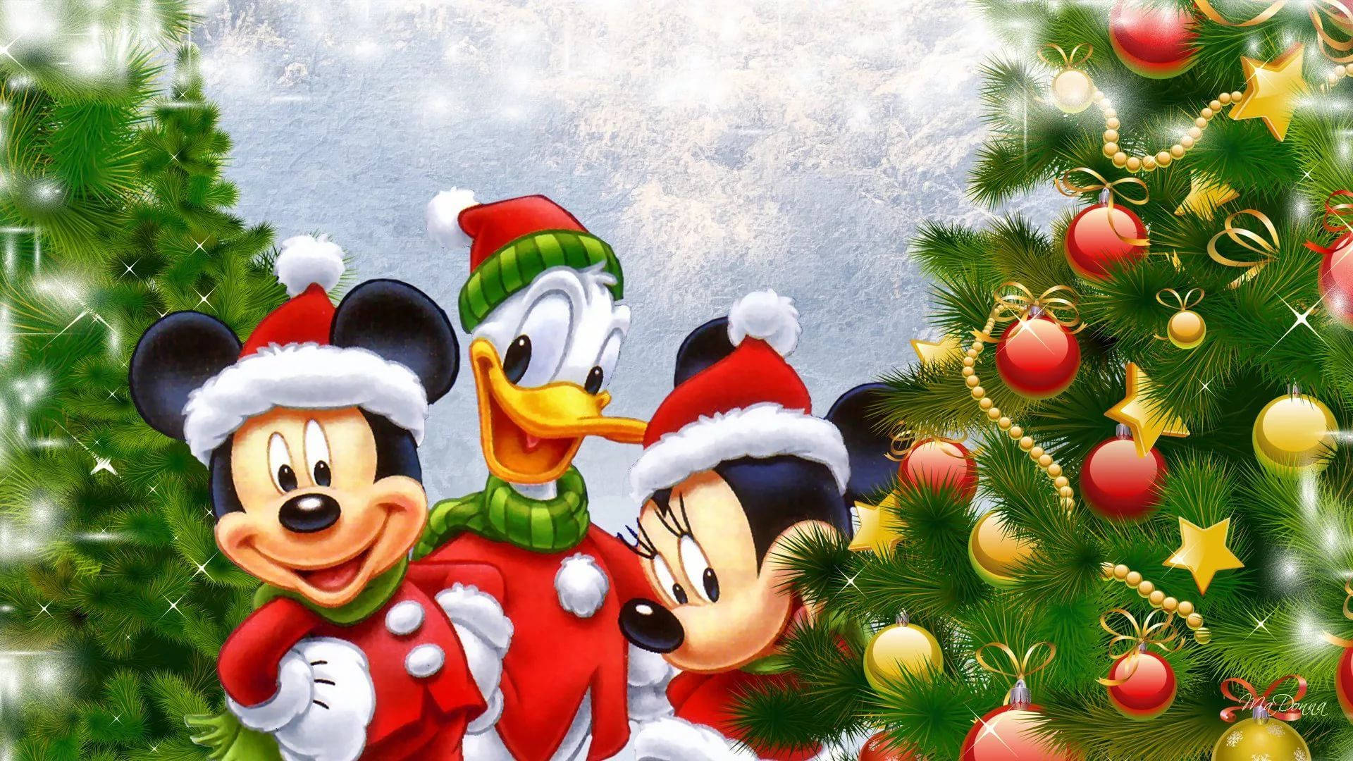 Disney 1920x1080 HD Chuột Mickey Và Bạn Bè Cây Thông Noel Hình nền
