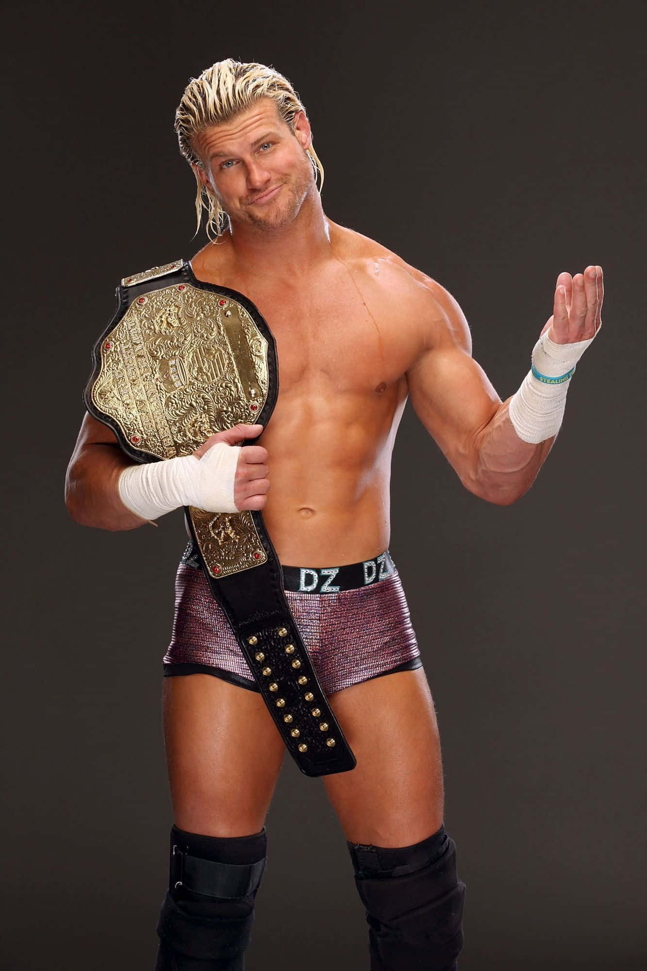 Dolph Ziggler Nhà Vô Địch WWE Hình nền