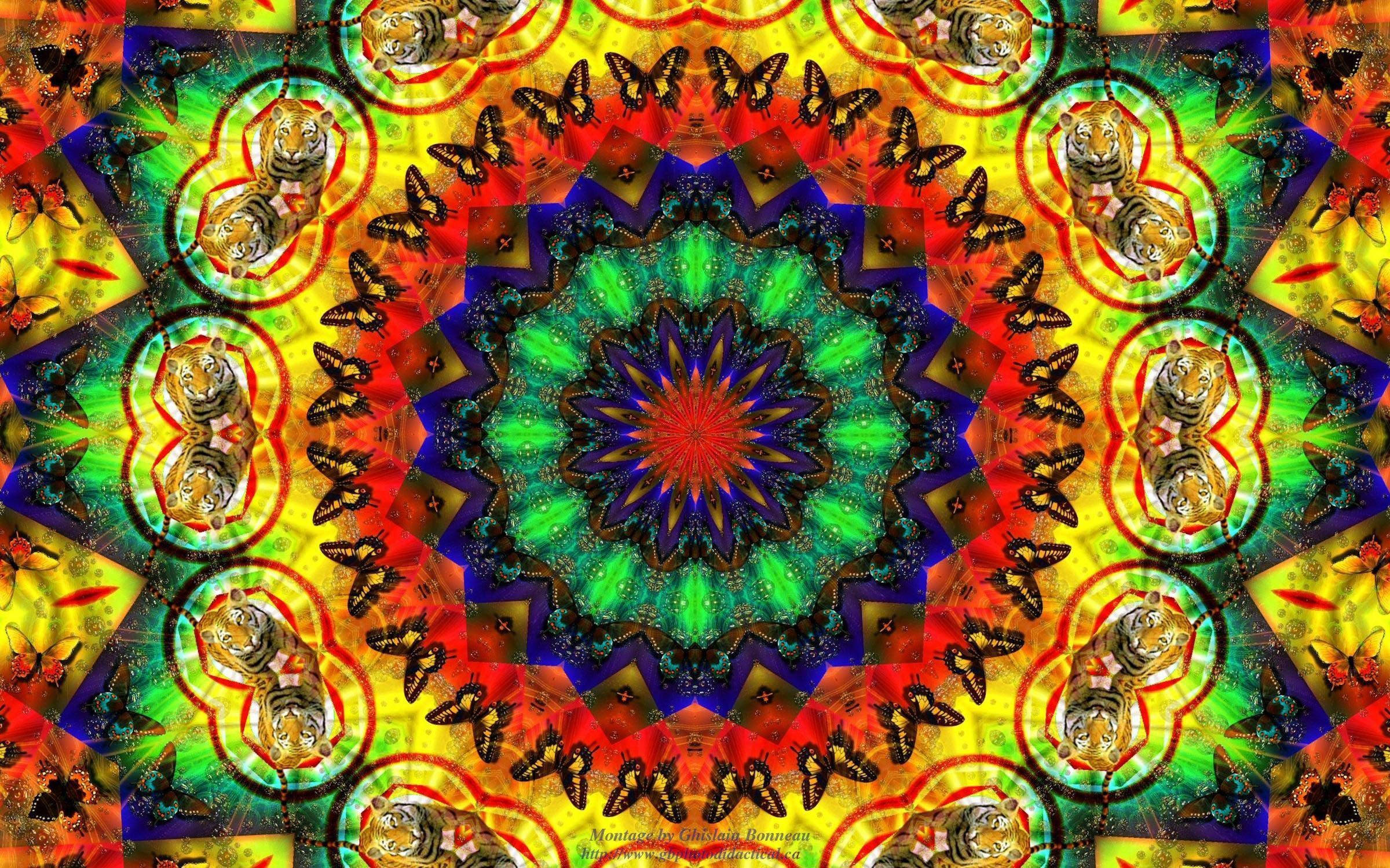 Động vật Fractal Thẩm mỹ Tối Ảo giác Hình nền