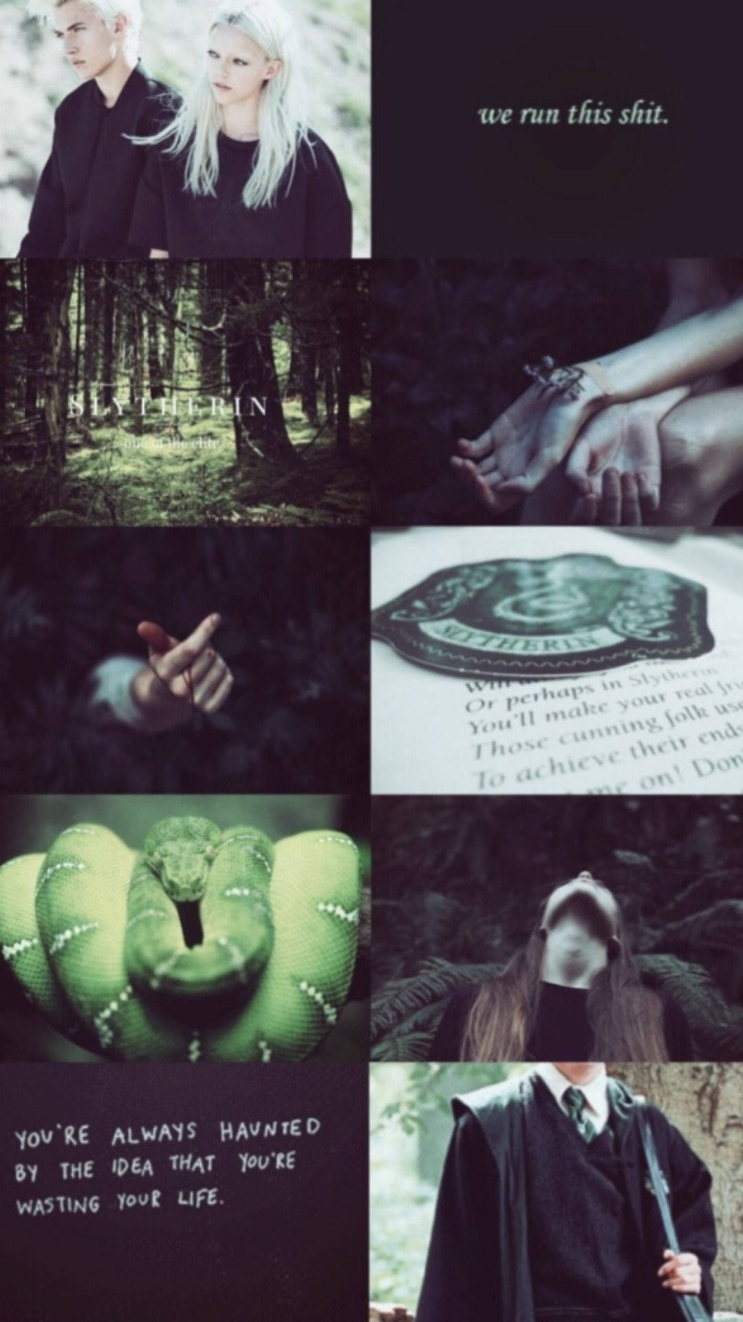 Draco Malfoy Slytherin Cặp Đôi Thẩm Mỹ Hình nền