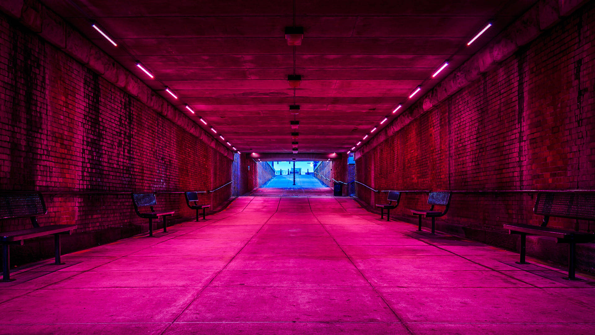 Đường hầm ngầm màu hồng neon Hình nền