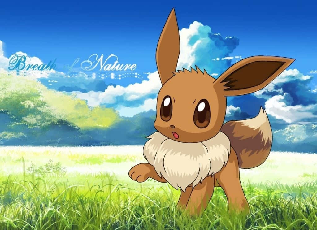 Eevee Dễ Thương Trên Cánh Đồng Cỏ Pokemon Hình nền