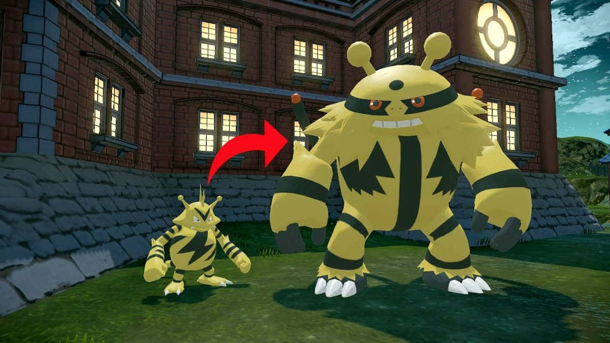 Electabuzz nạp năng lượng trong trận chiến Pokemon Hình nền