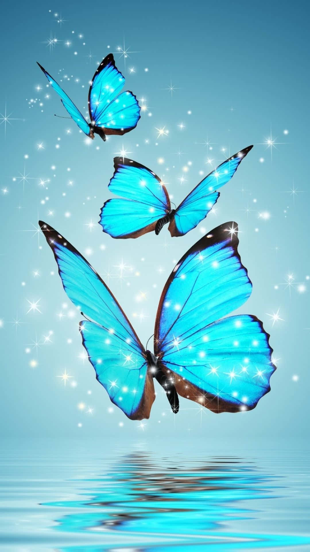 Embrace the Beauty - Hình nền bướm nghệ thuật Hình nền