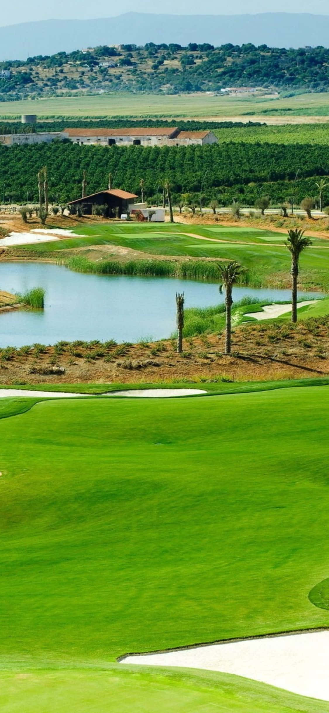 Đến giờ ra sân! Tận hưởng ván golf trên thảm cỏ xanh mướt của sân golf ngay trên iPhone X của bạn Hình nền
