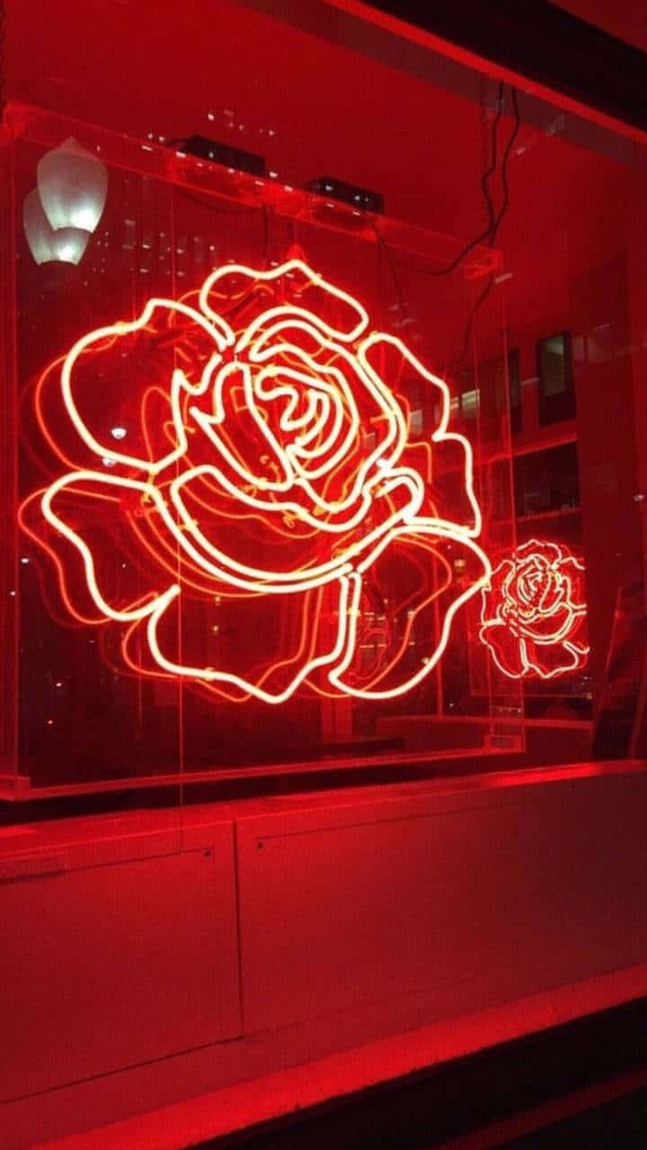 Đèn Neon Hoa Đỏ Nền Tối Thẩm Mỹ Hình nền