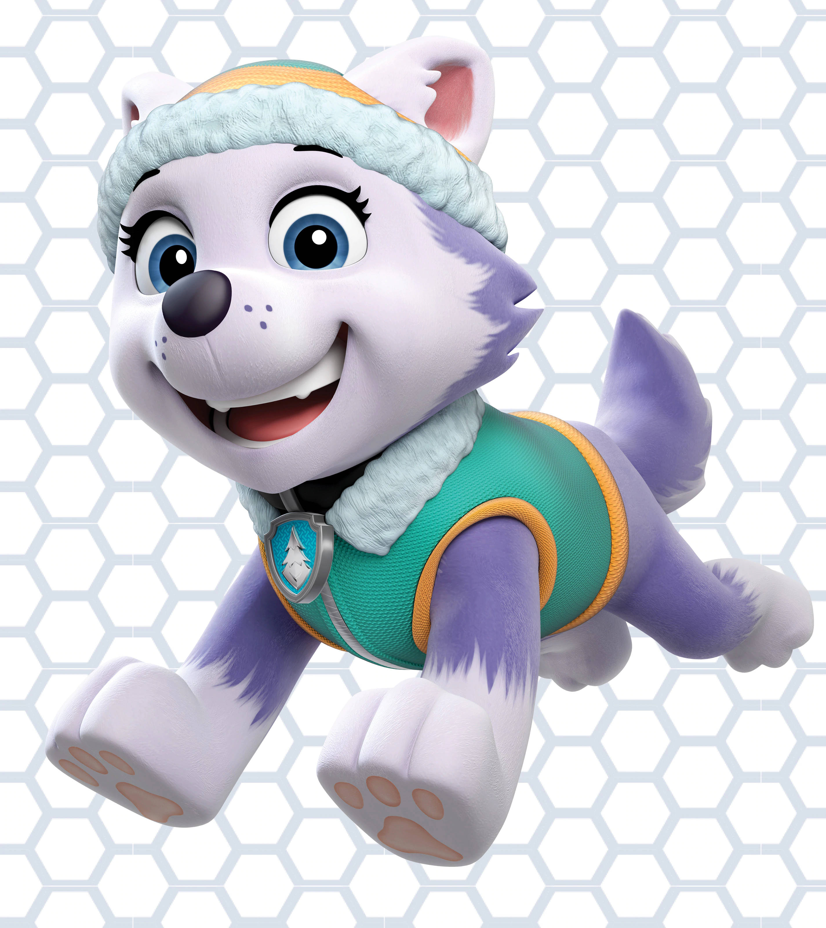 Everest Paw Patrol Hình nền
